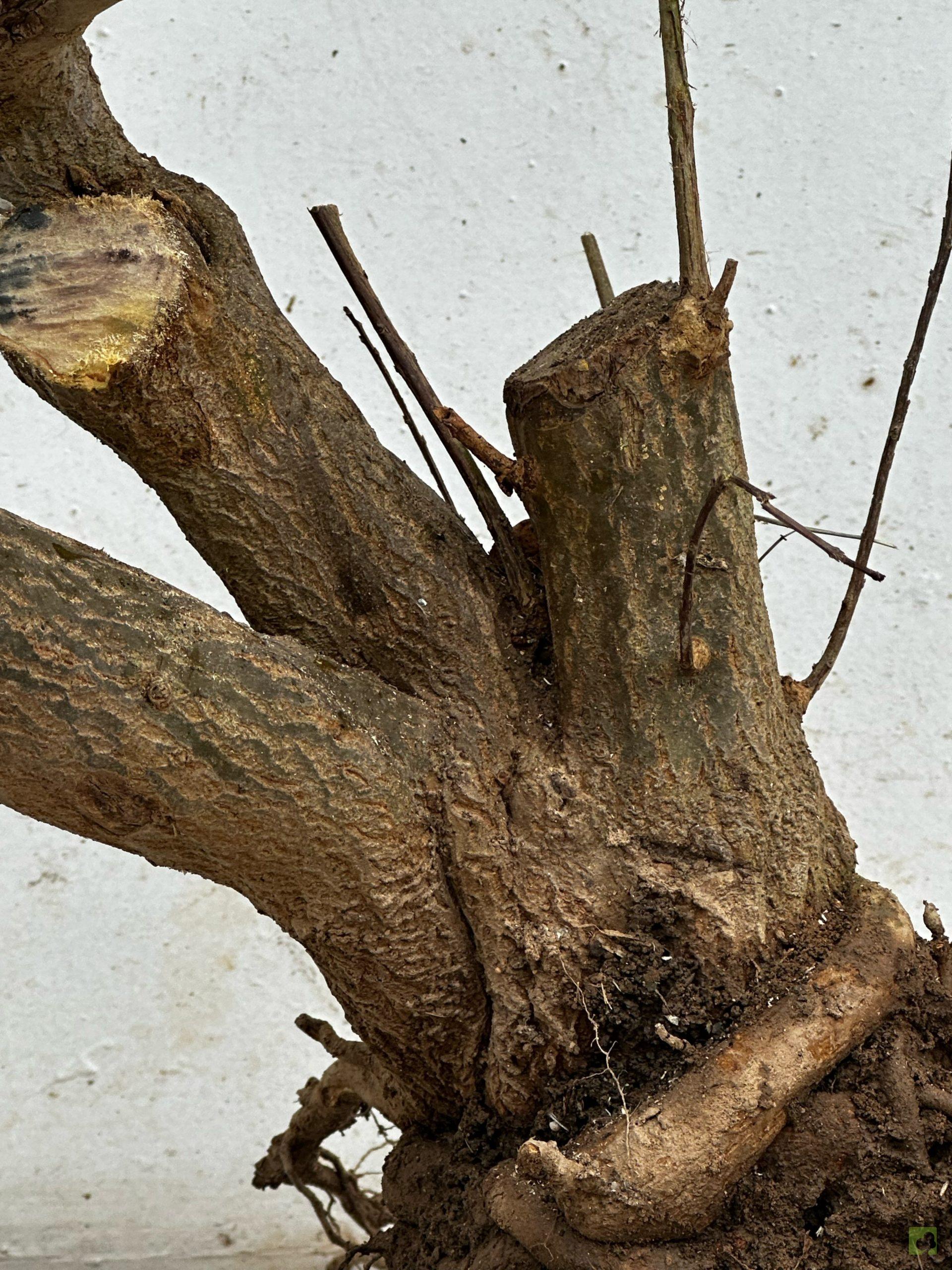 Processed with MOLDIV