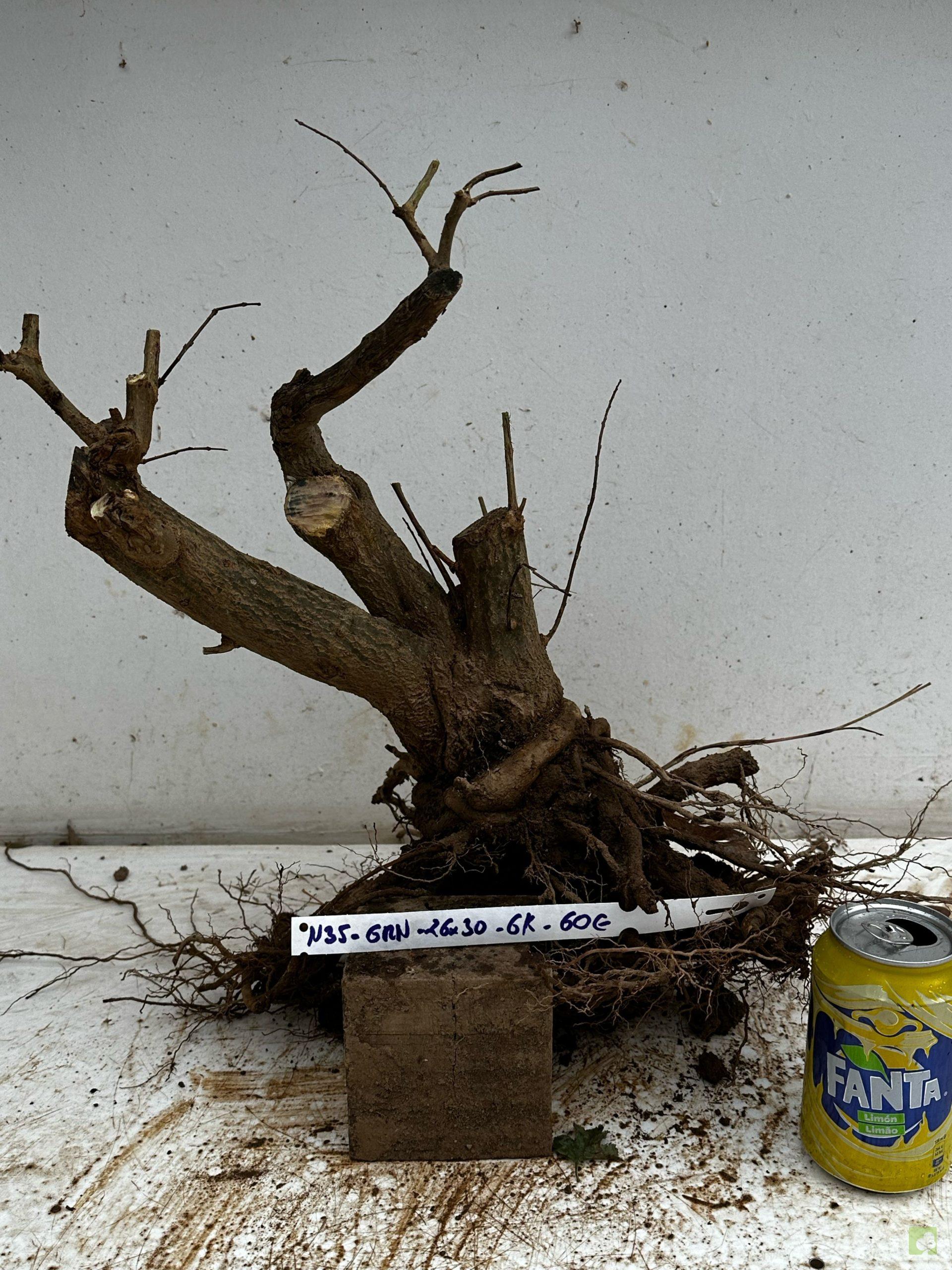 Processed with MOLDIV