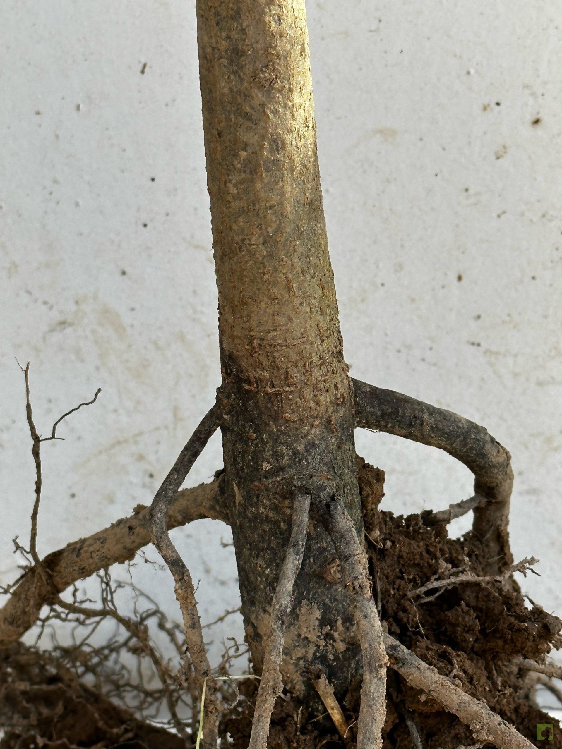 Processed with MOLDIV