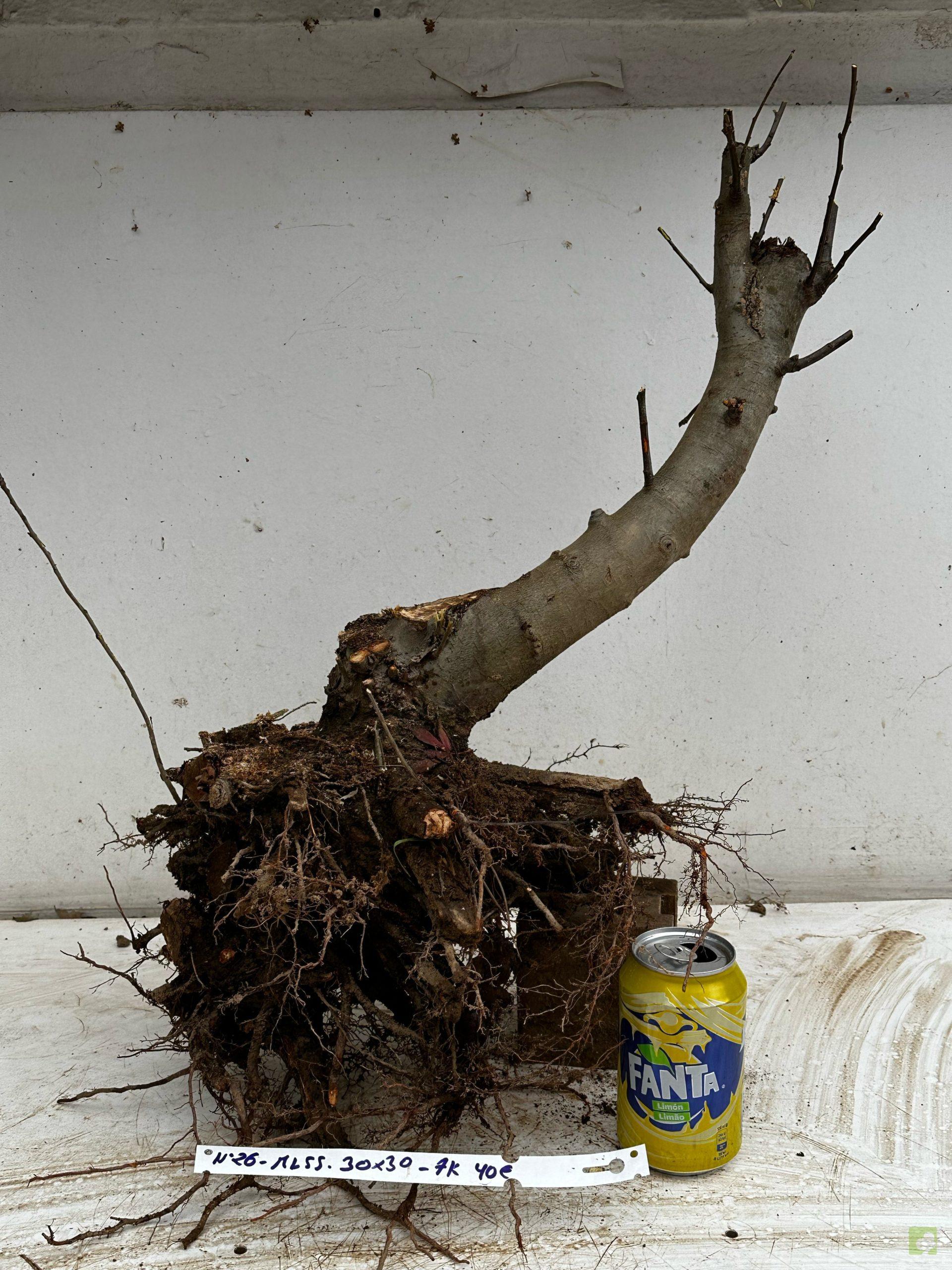 Processed with MOLDIV