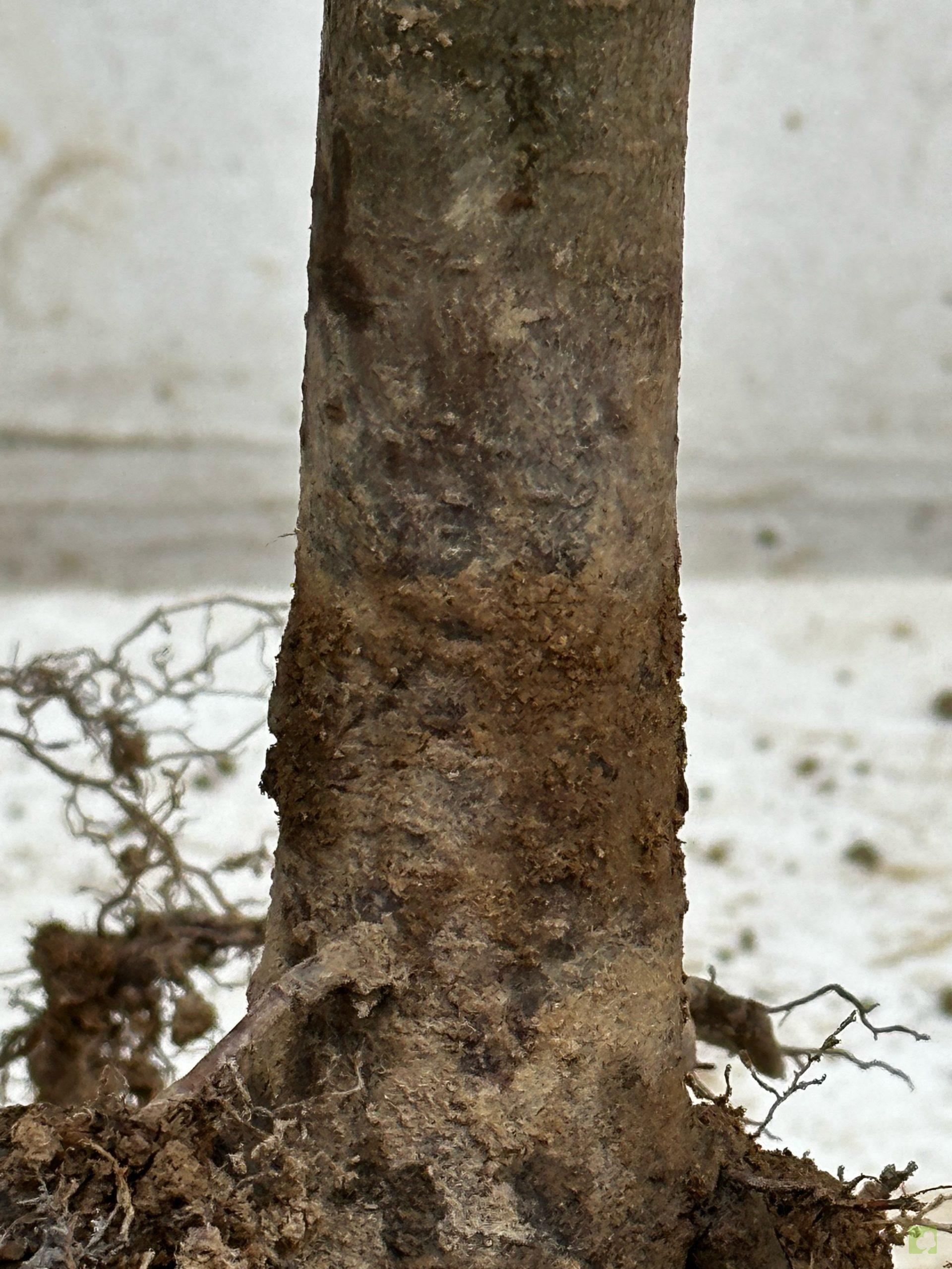 Processed with MOLDIV