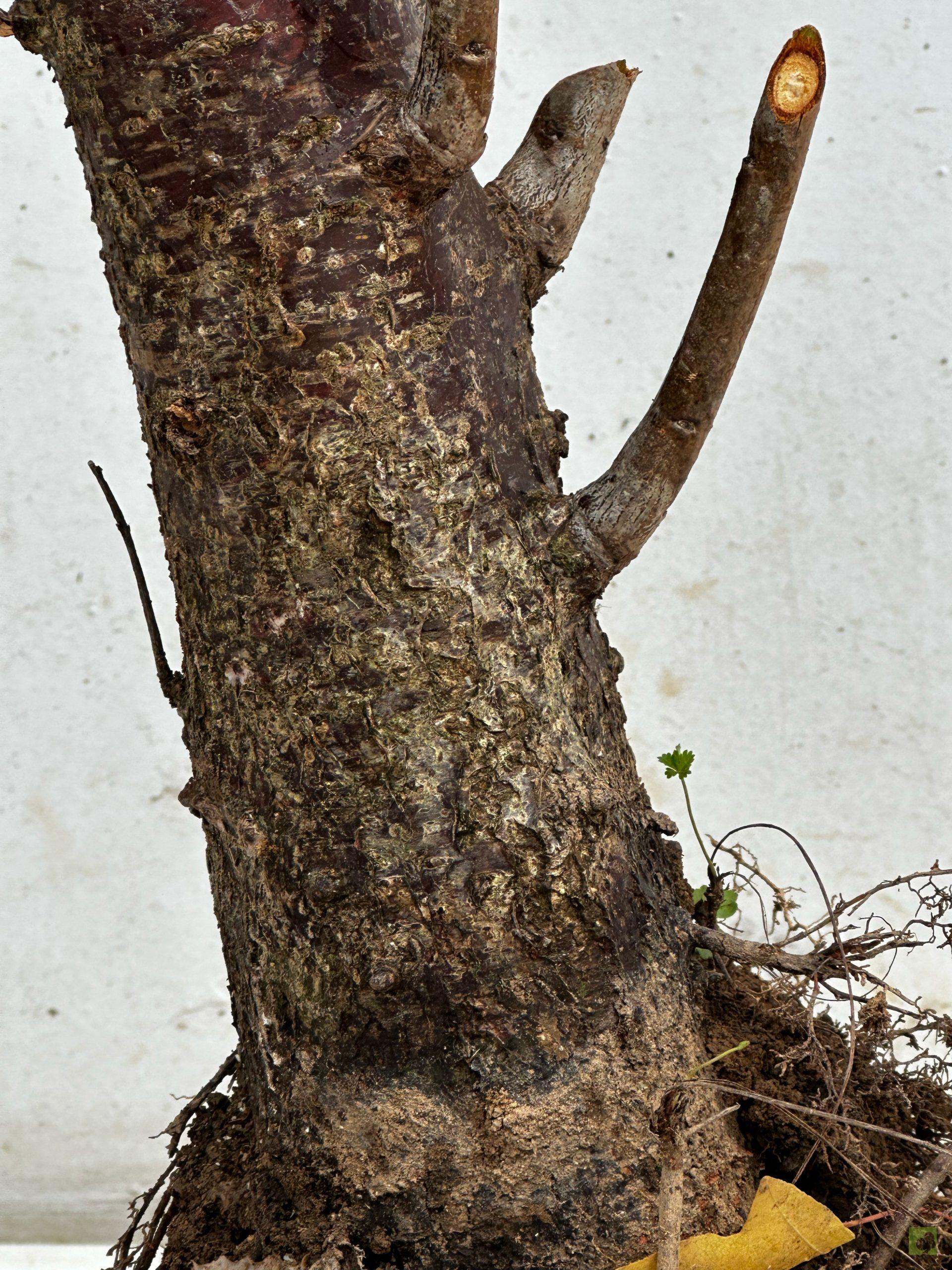 Processed with MOLDIV