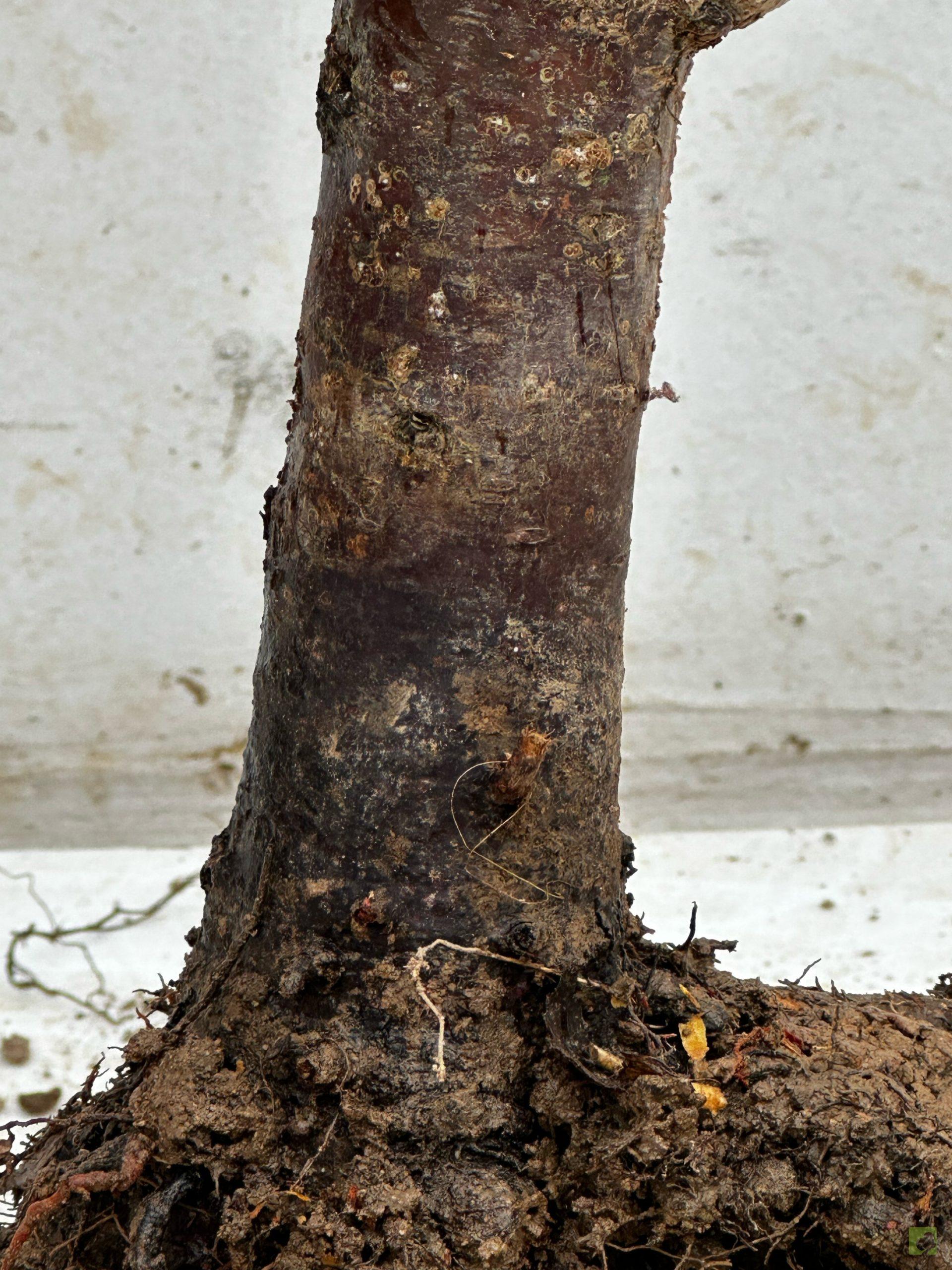 Processed with MOLDIV