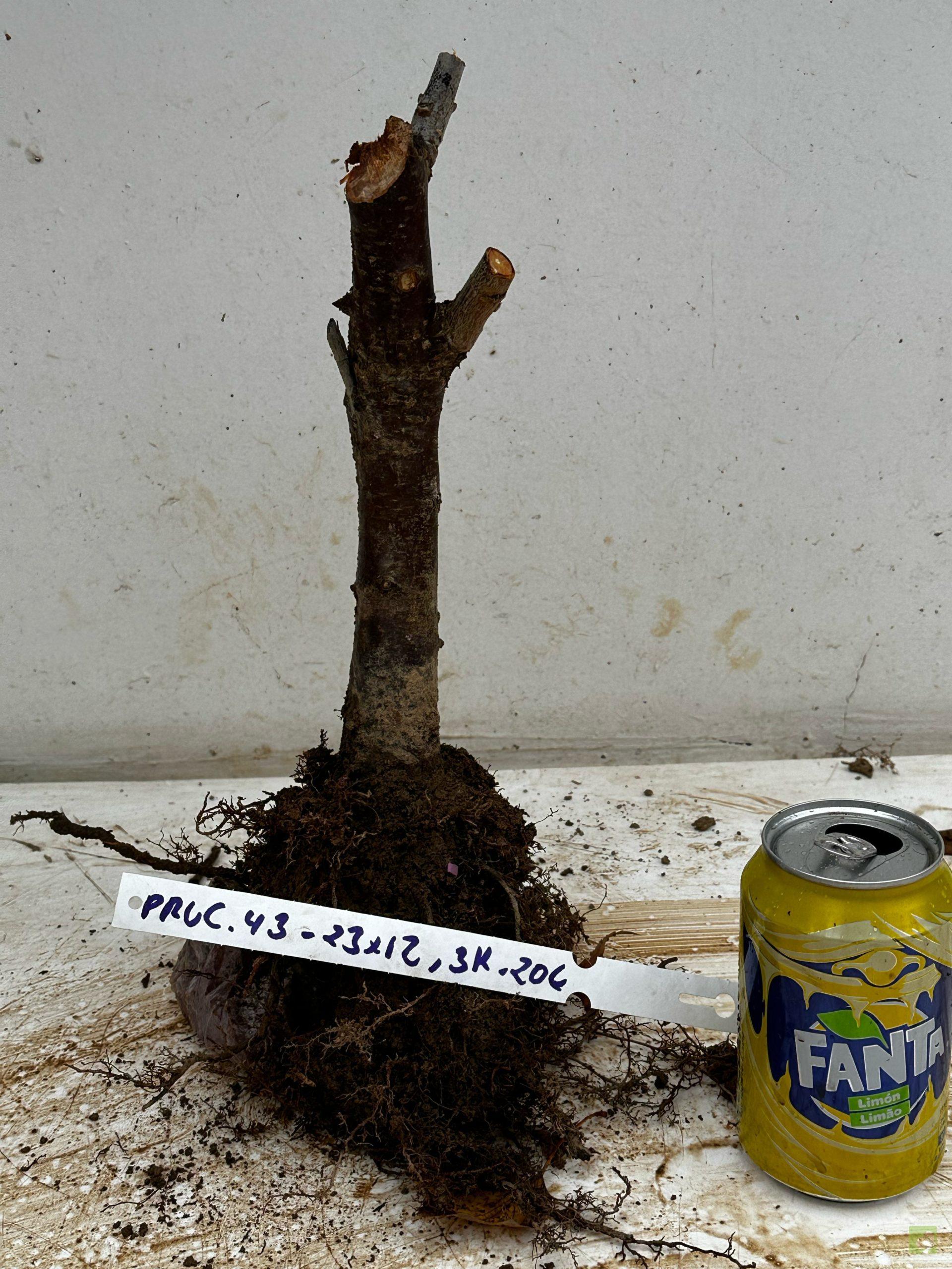 Processed with MOLDIV