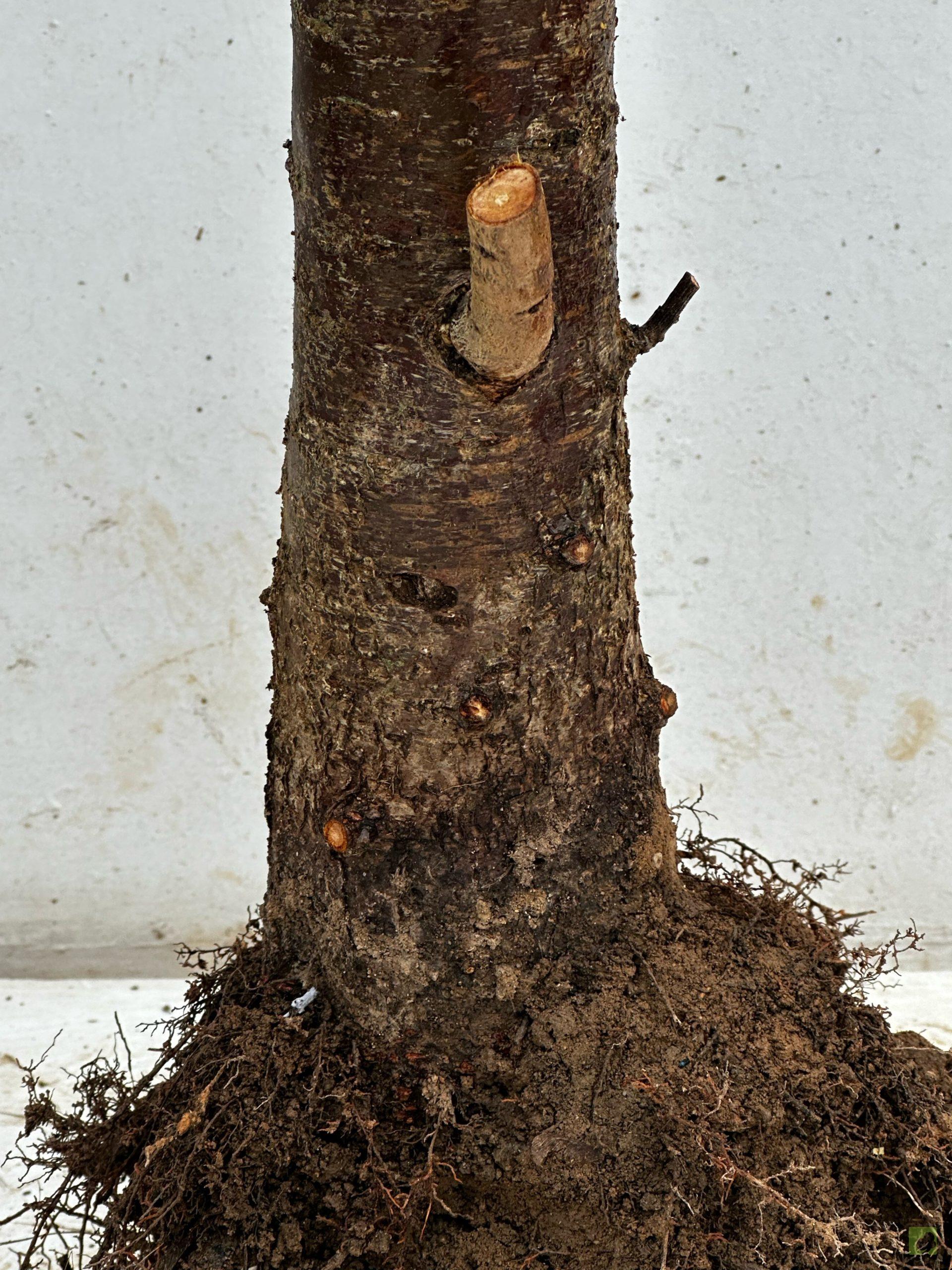 Processed with MOLDIV