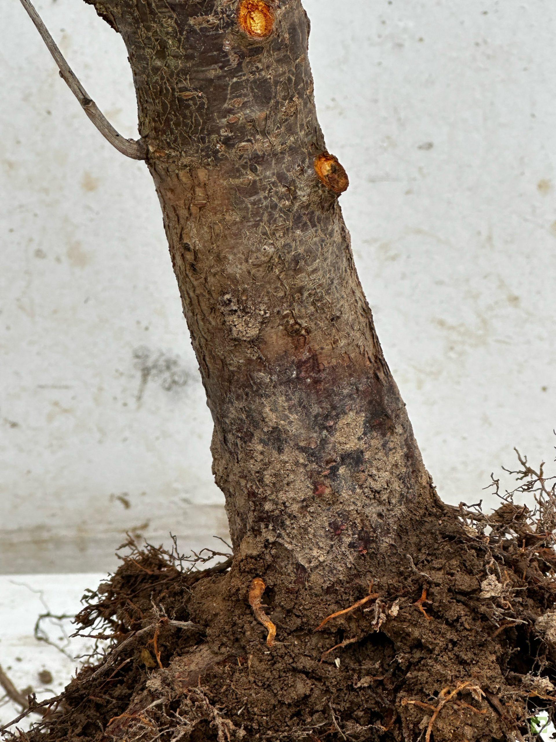 Processed with MOLDIV