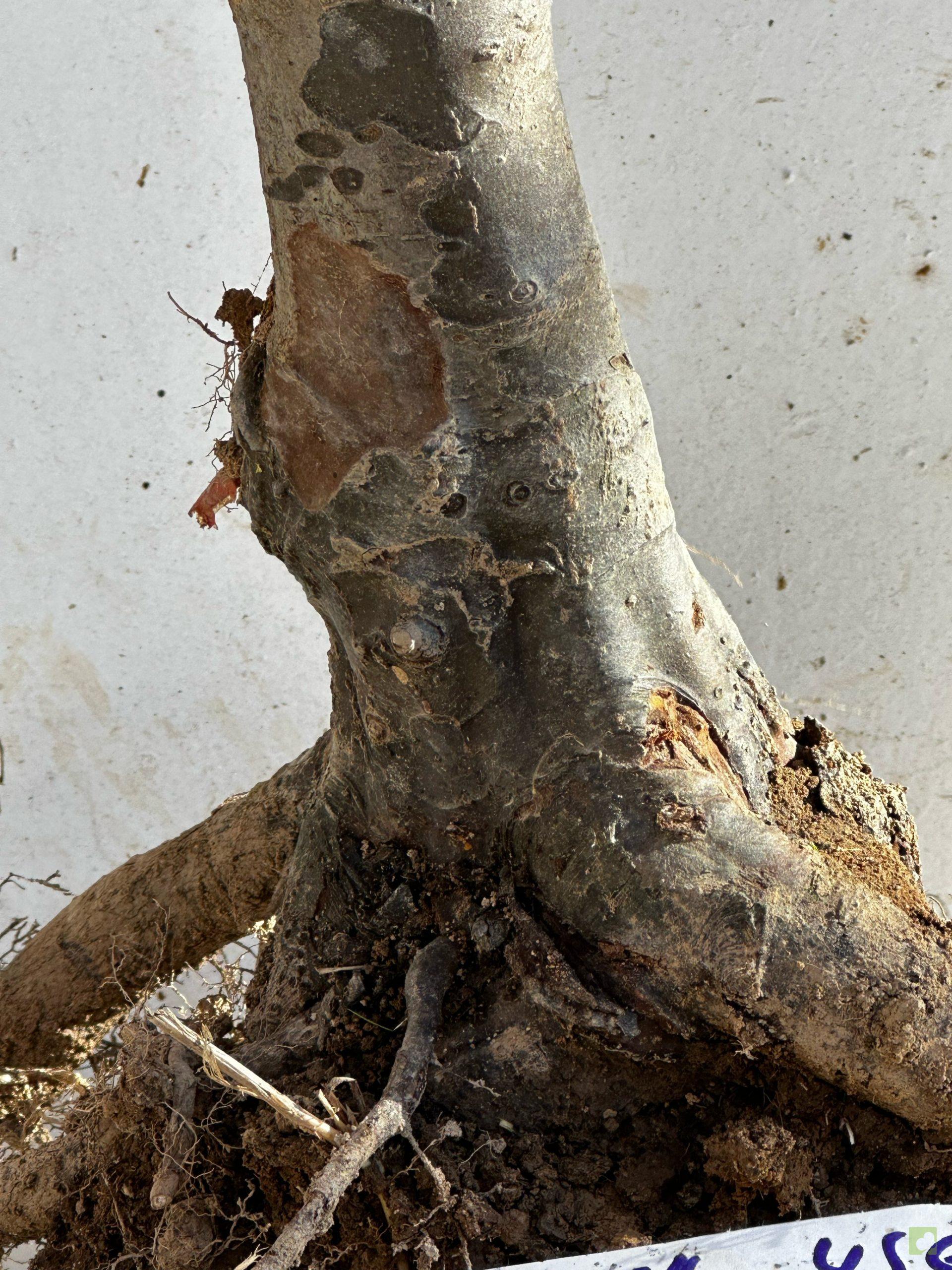 Processed with MOLDIV