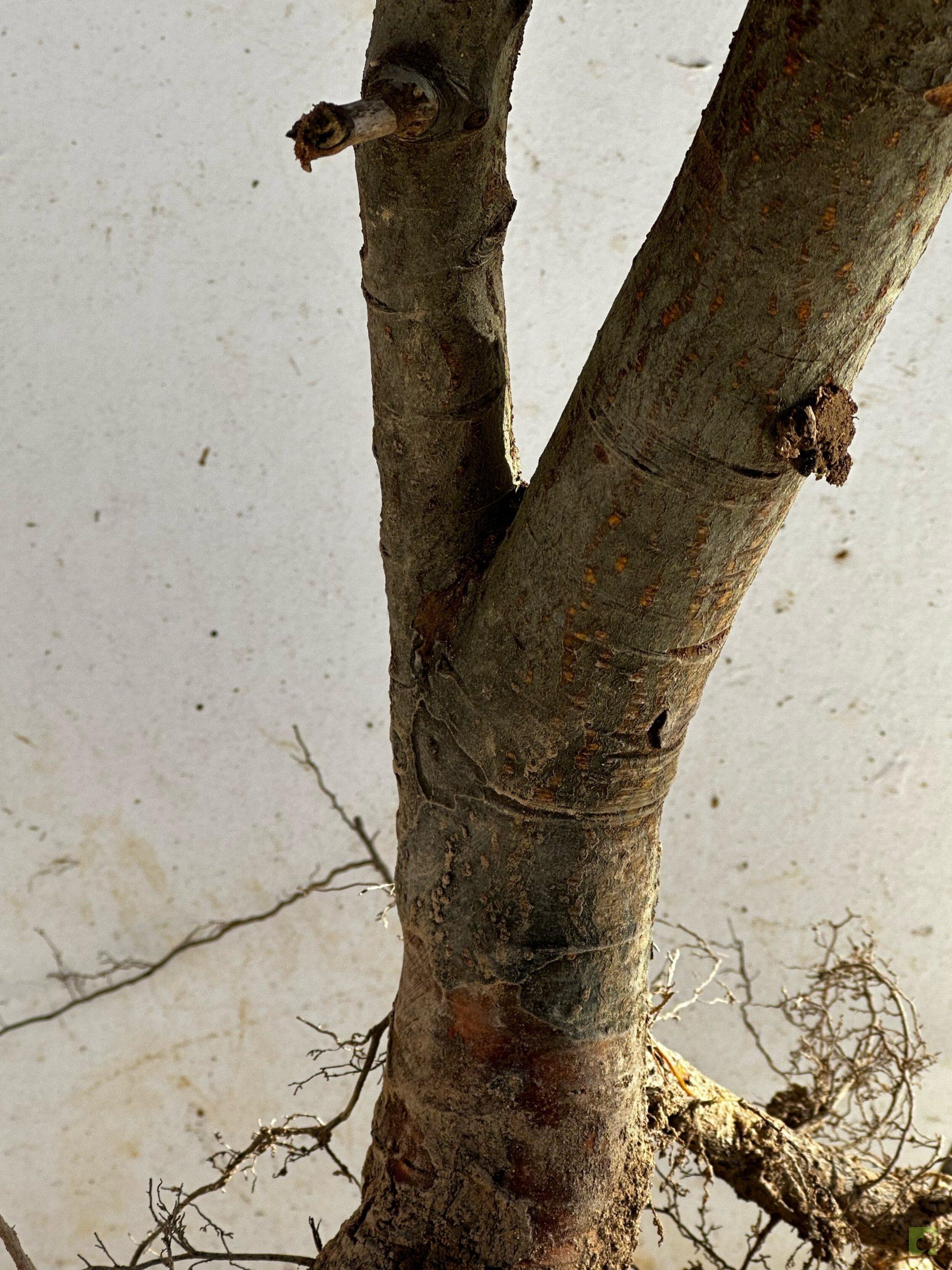 Processed with MOLDIV