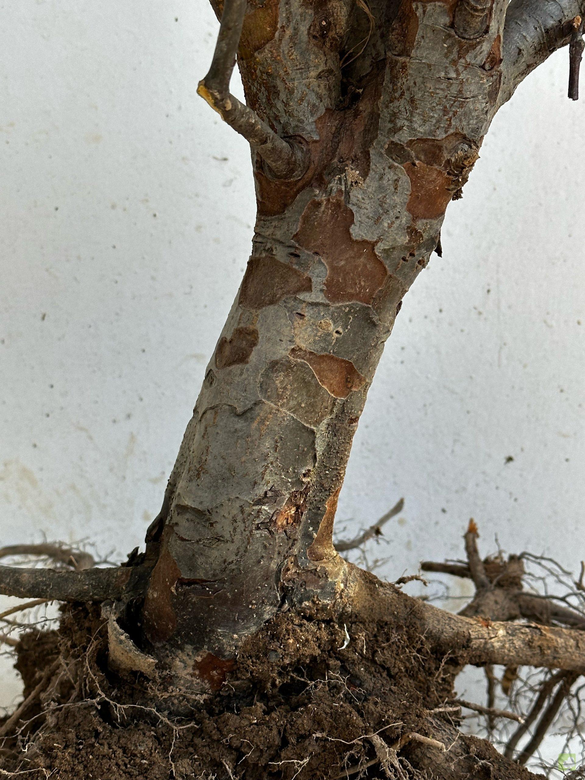 Processed with MOLDIV