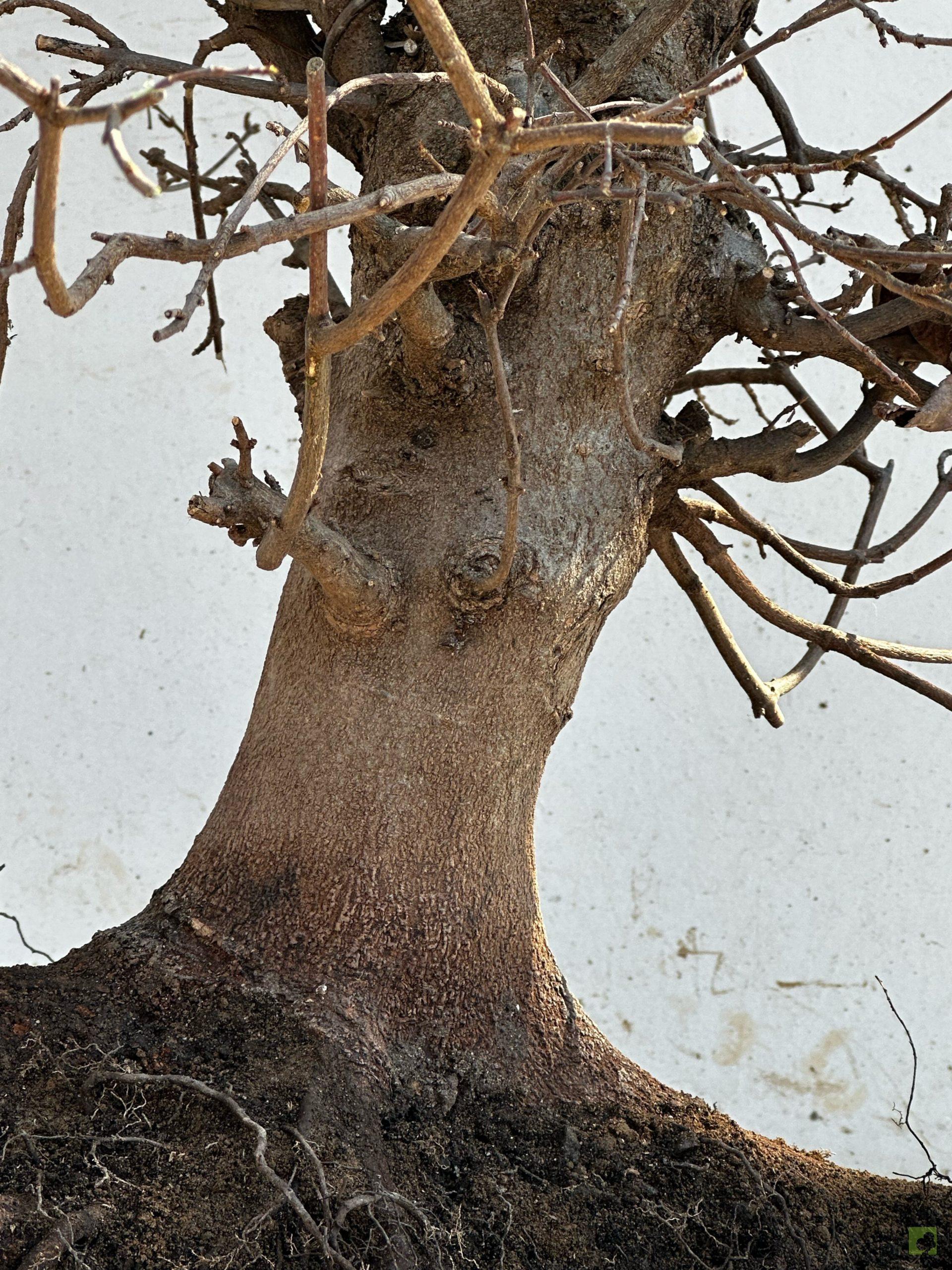 Processed with MOLDIV