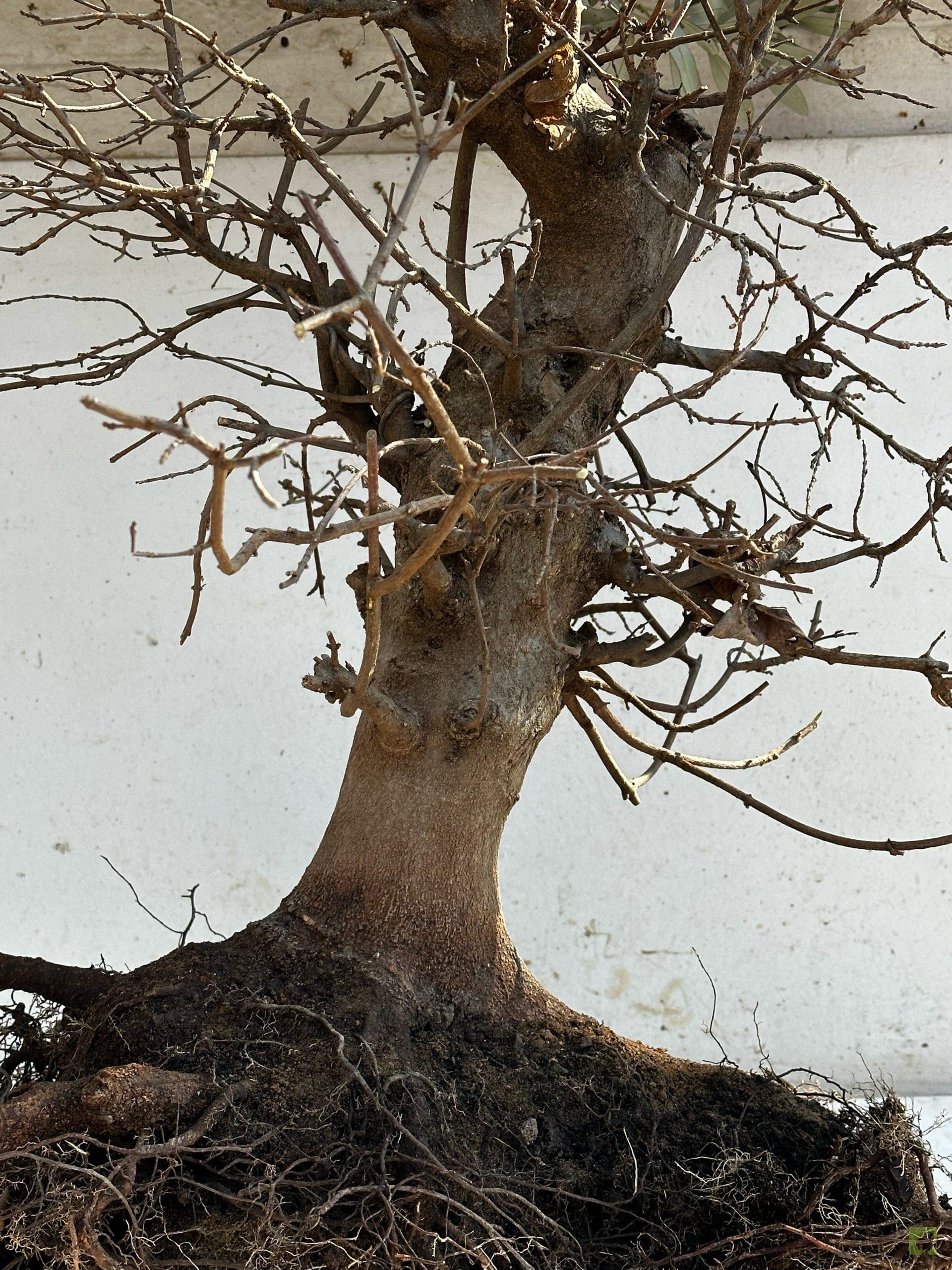 Processed with MOLDIV