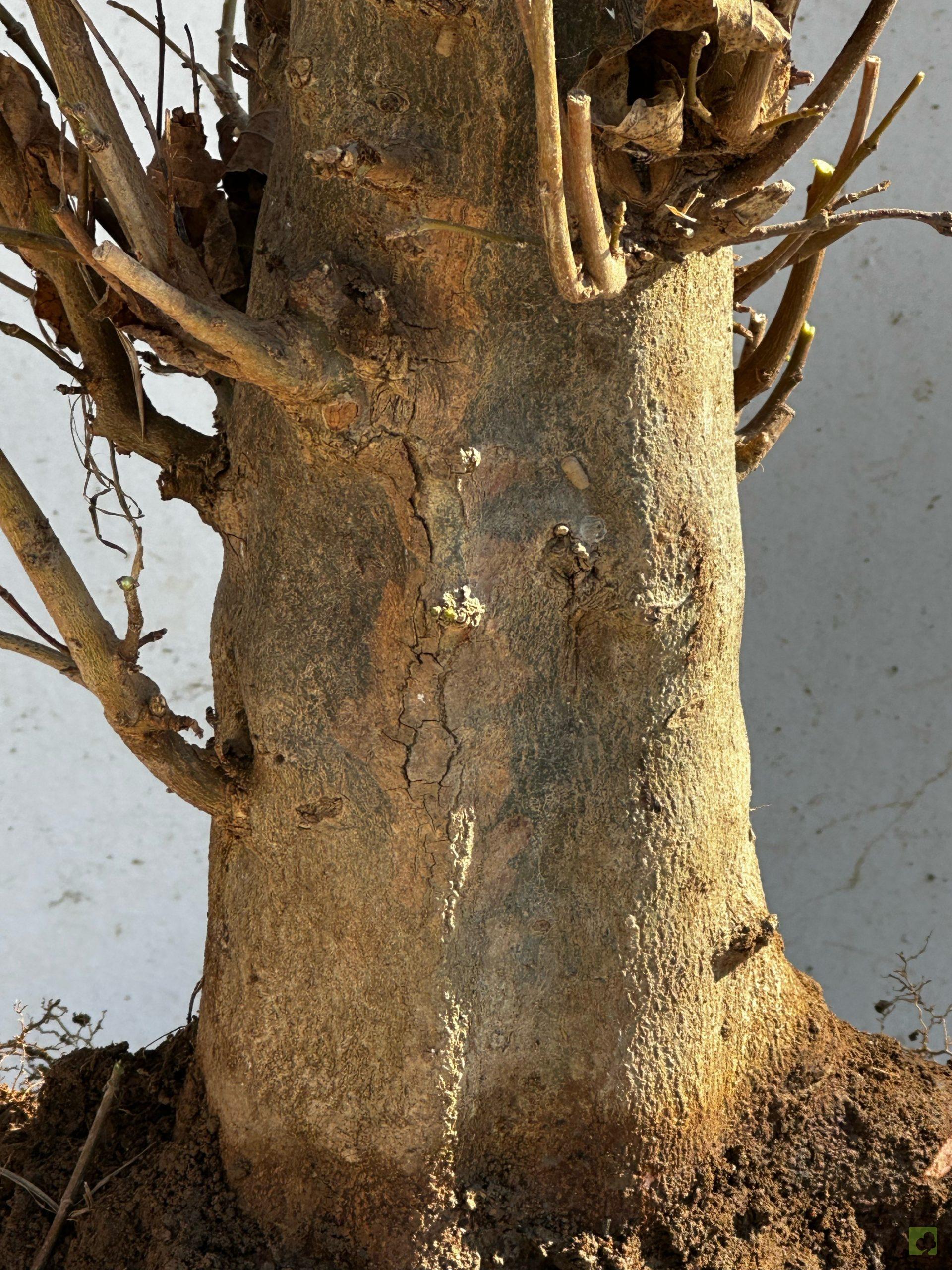 Processed with MOLDIV