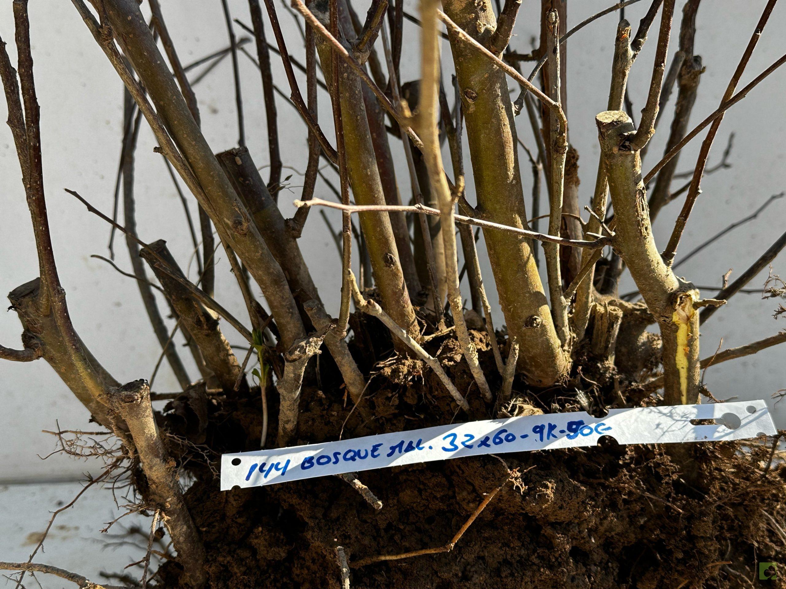 Processed with MOLDIV