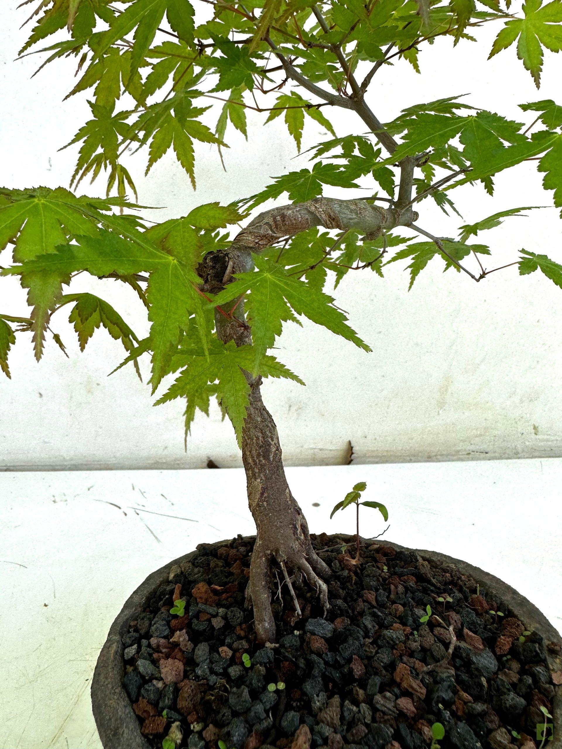 Processed with MOLDIV