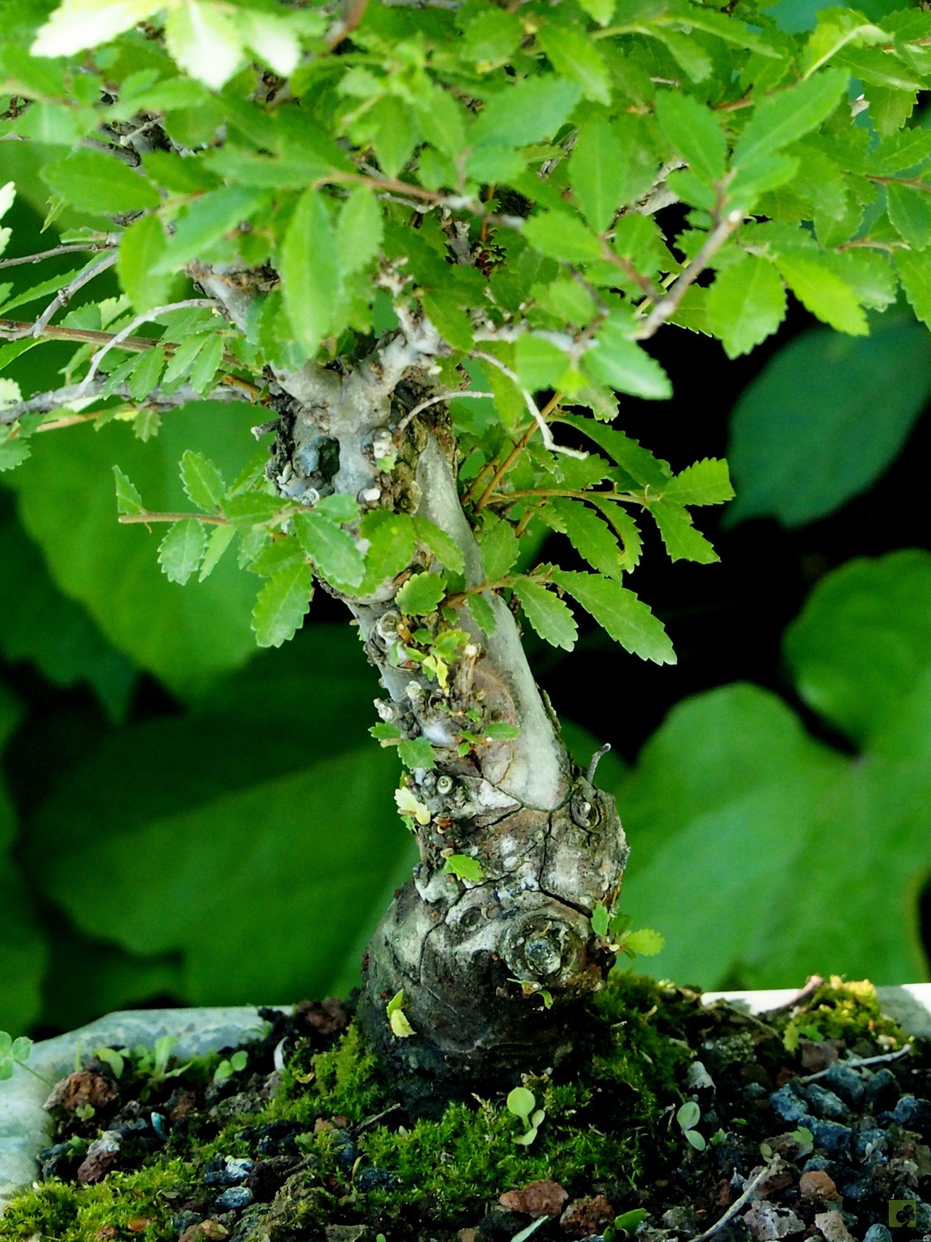 Processed with MOLDIV