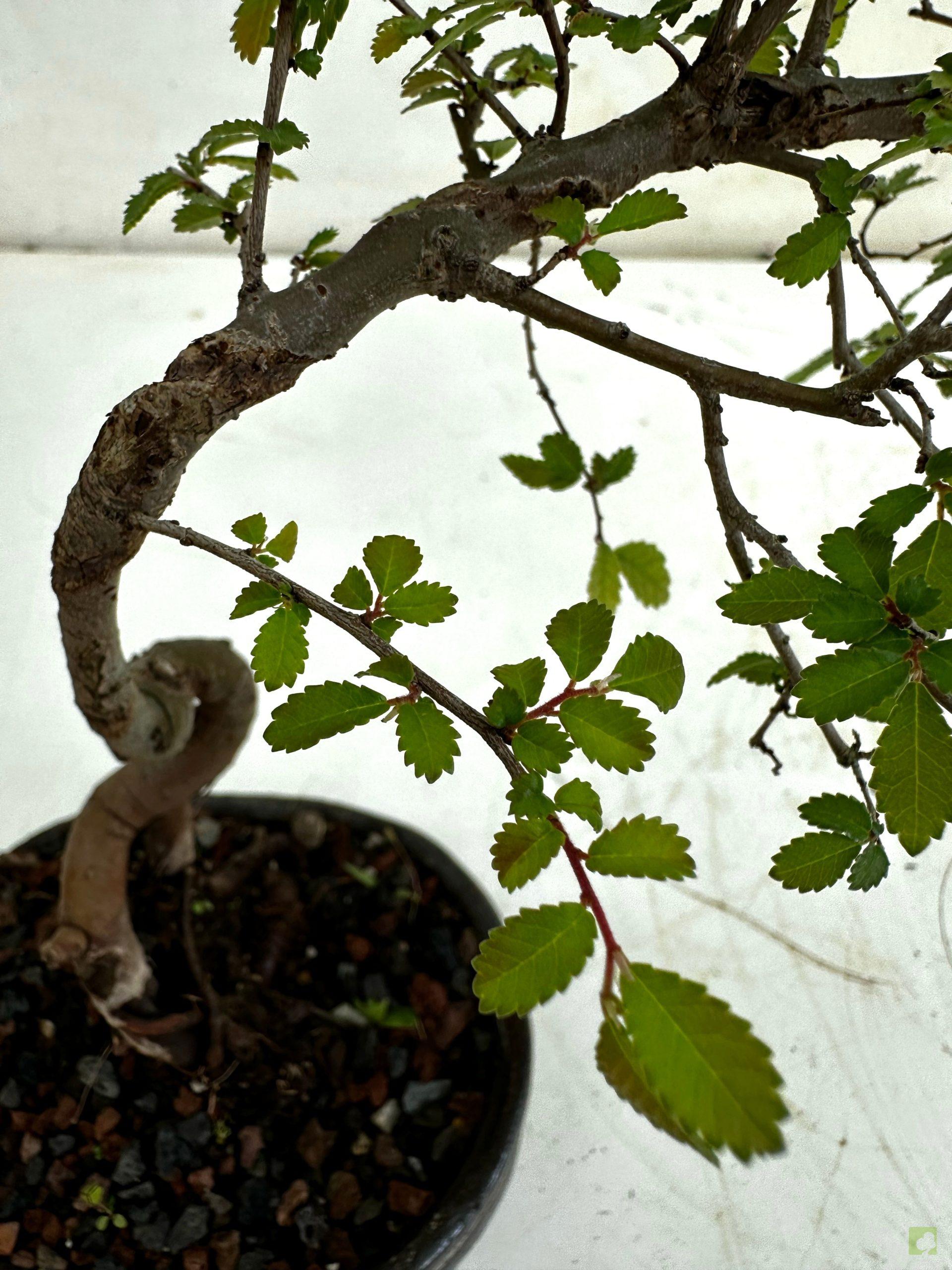 Processed with MOLDIV