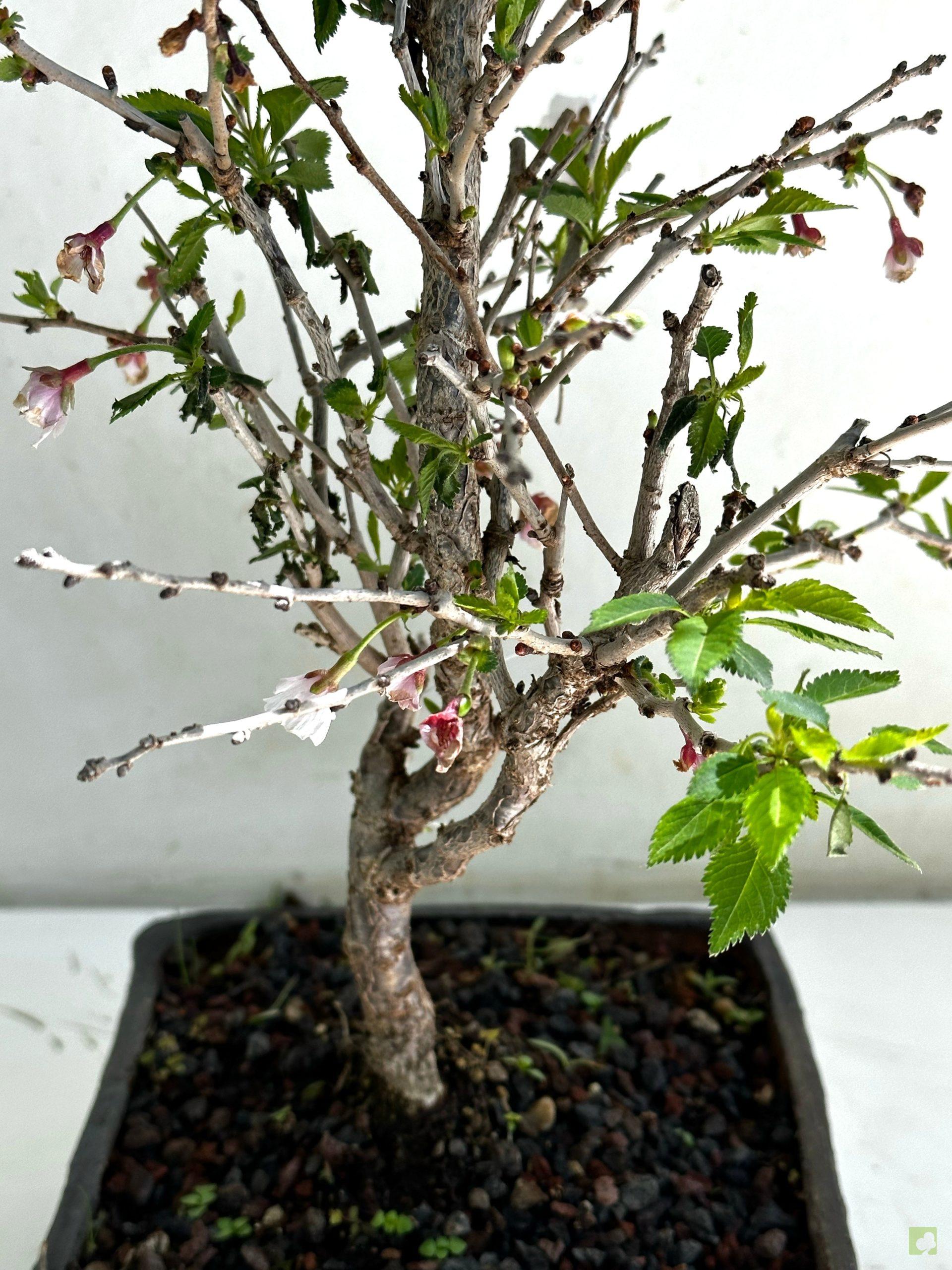 Processed with MOLDIV