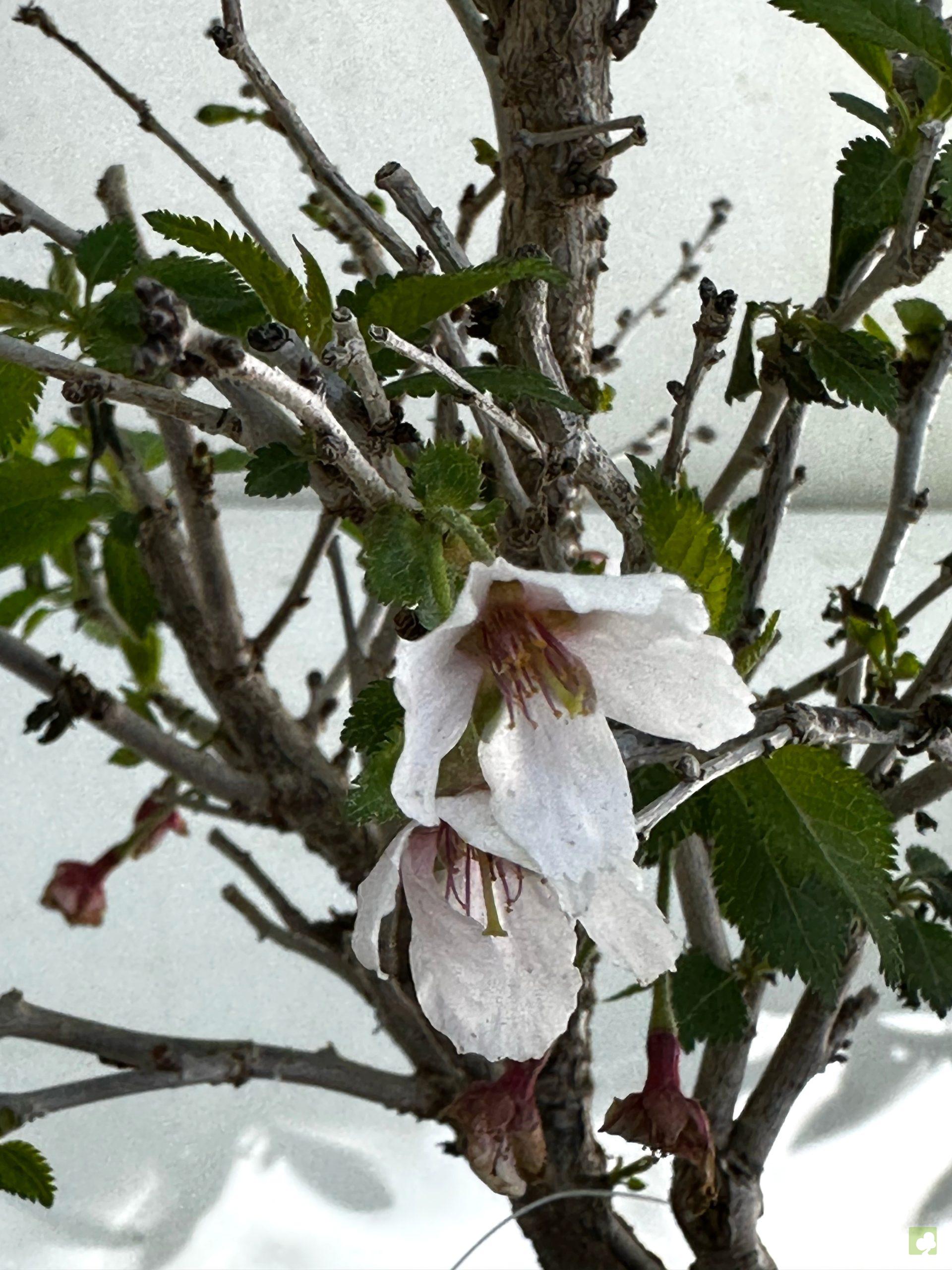 Processed with MOLDIV