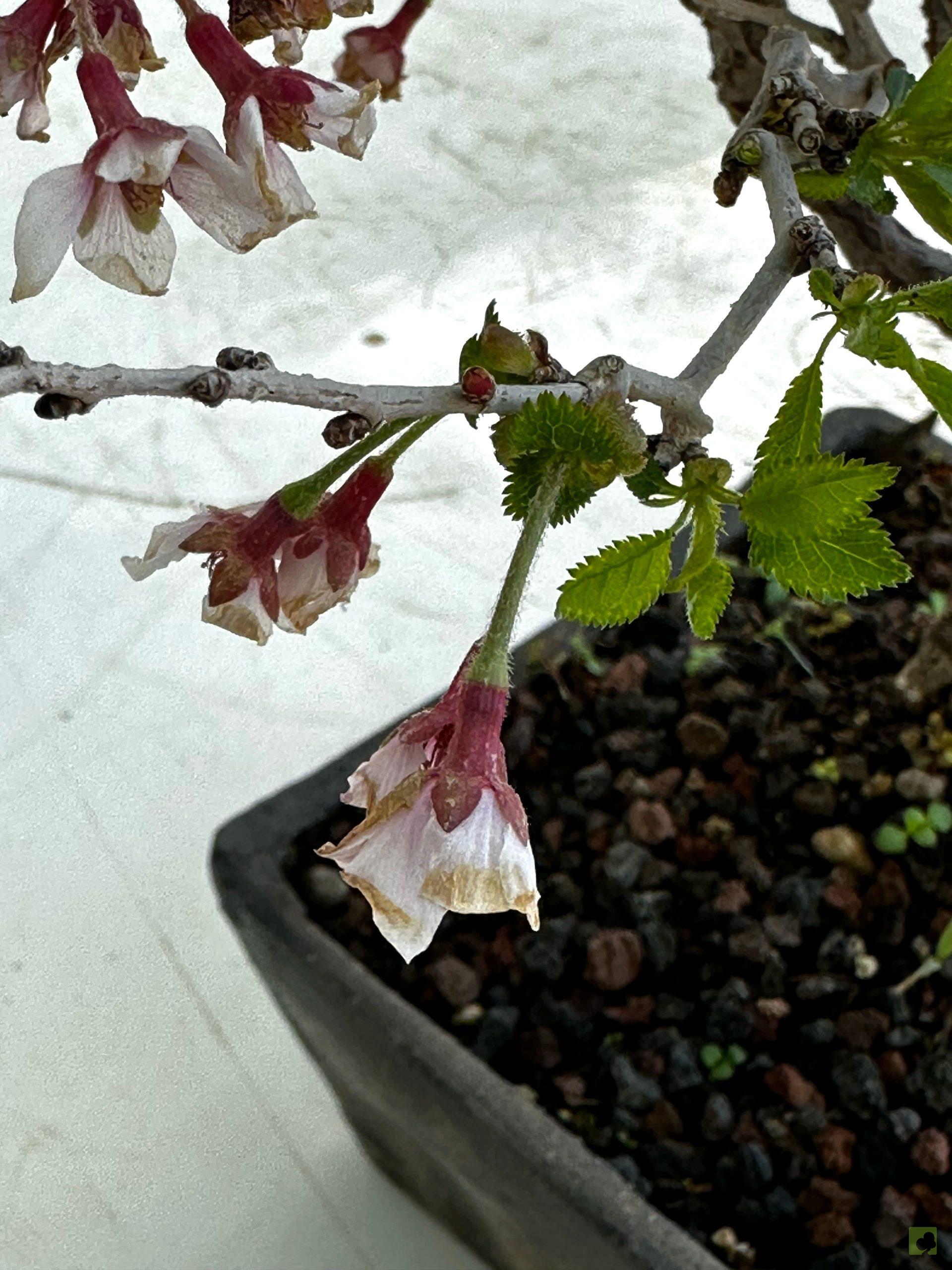 Processed with MOLDIV