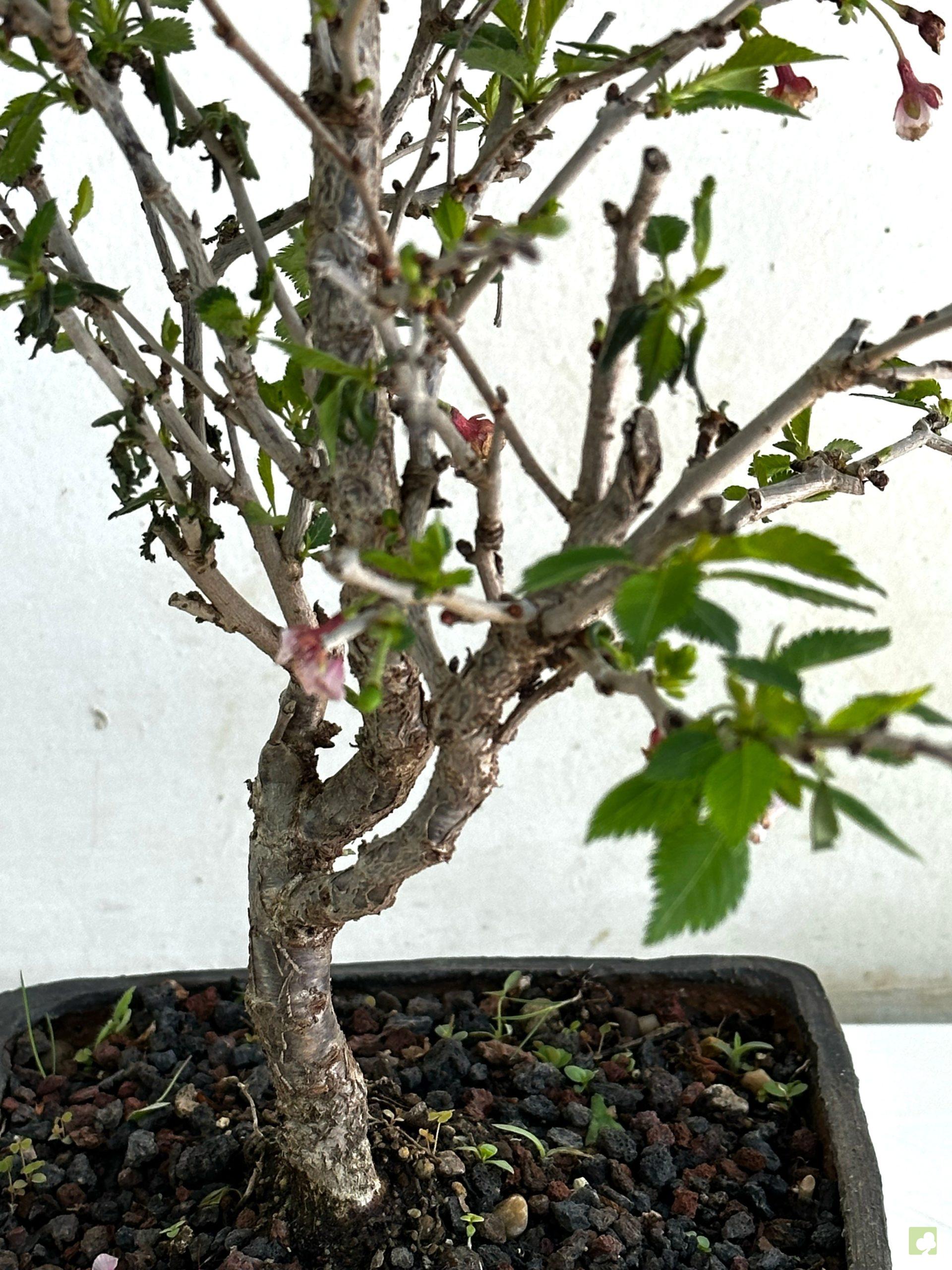 Processed with MOLDIV