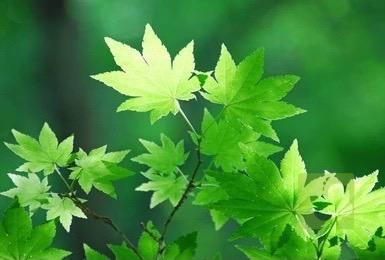 Processed with MOLDIV