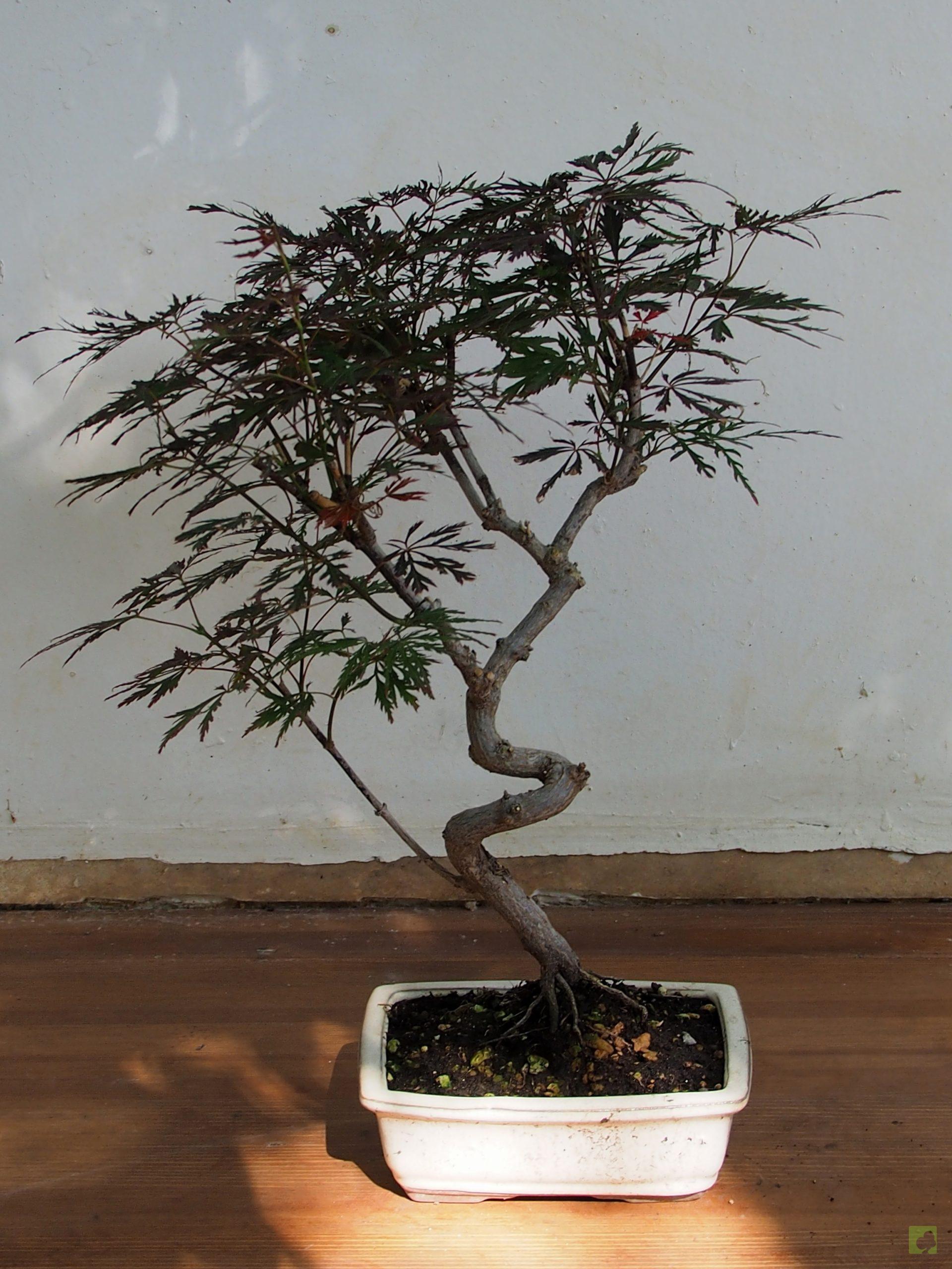 Processed with MOLDIV