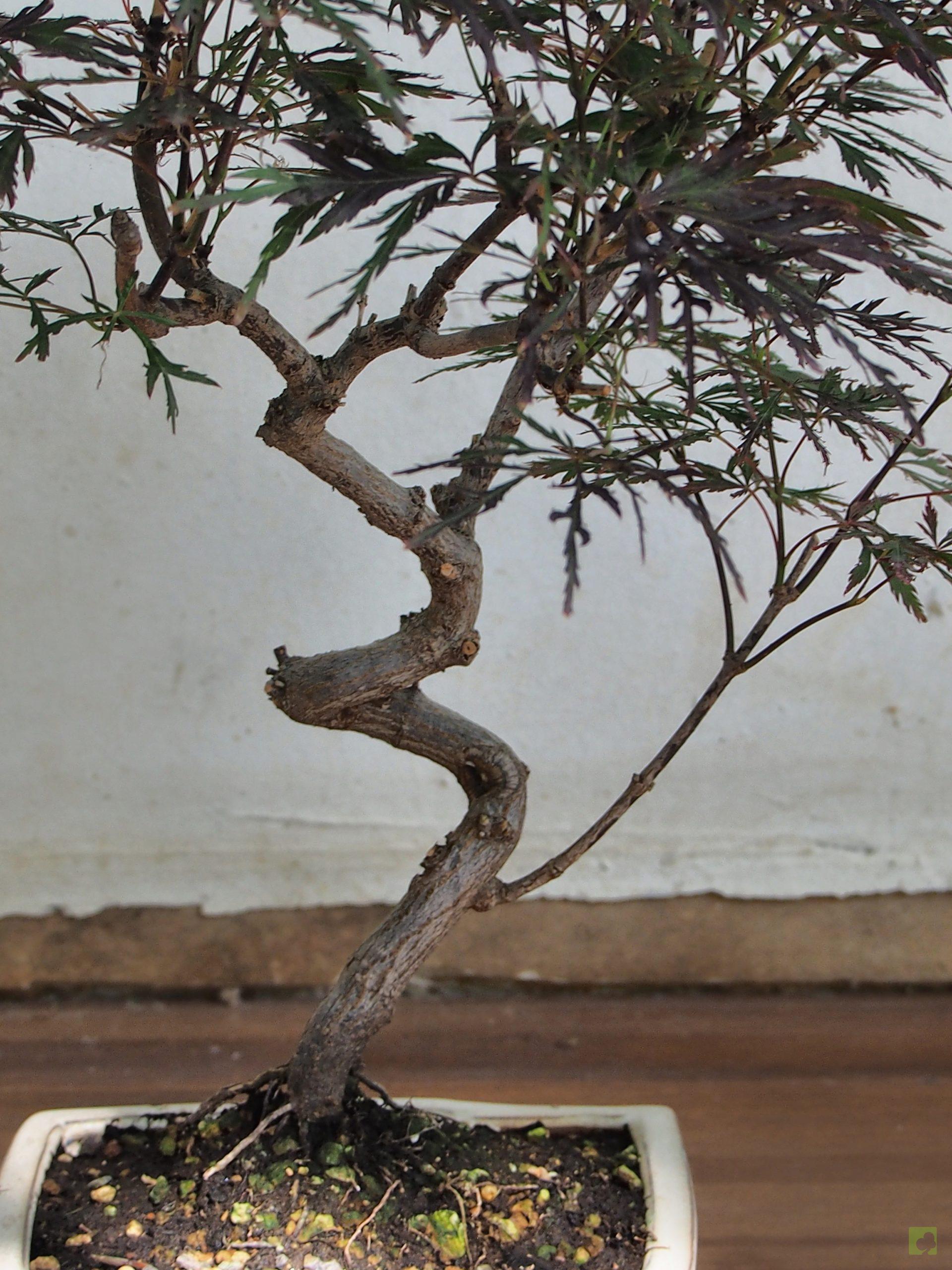 Processed with MOLDIV