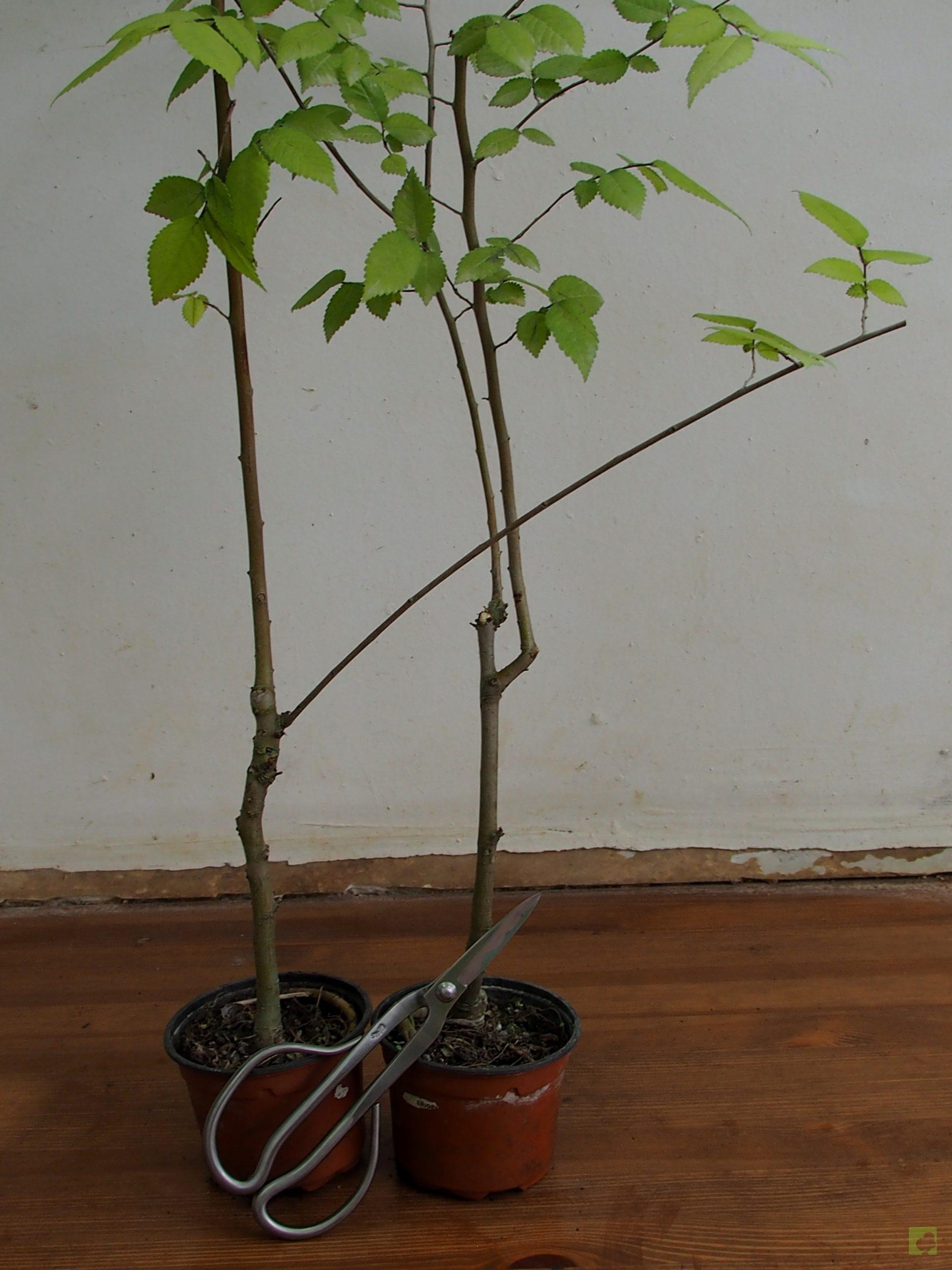 Processed with MOLDIV