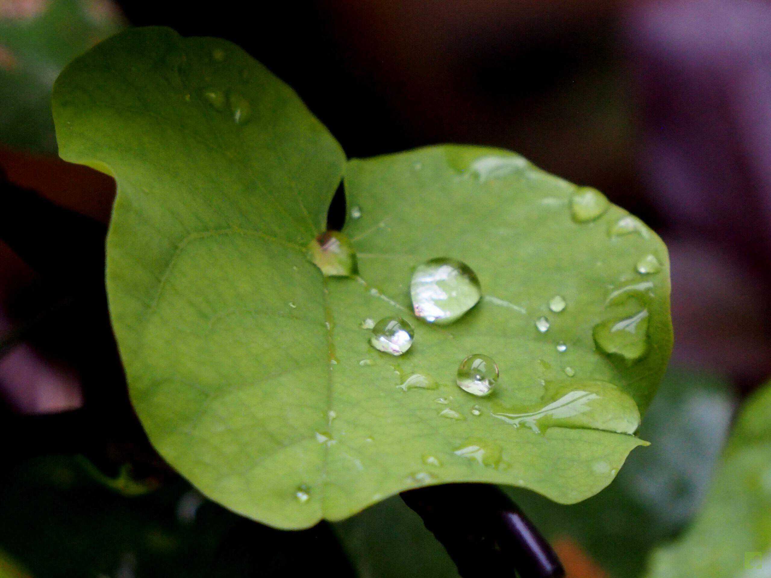 Processed with MOLDIV