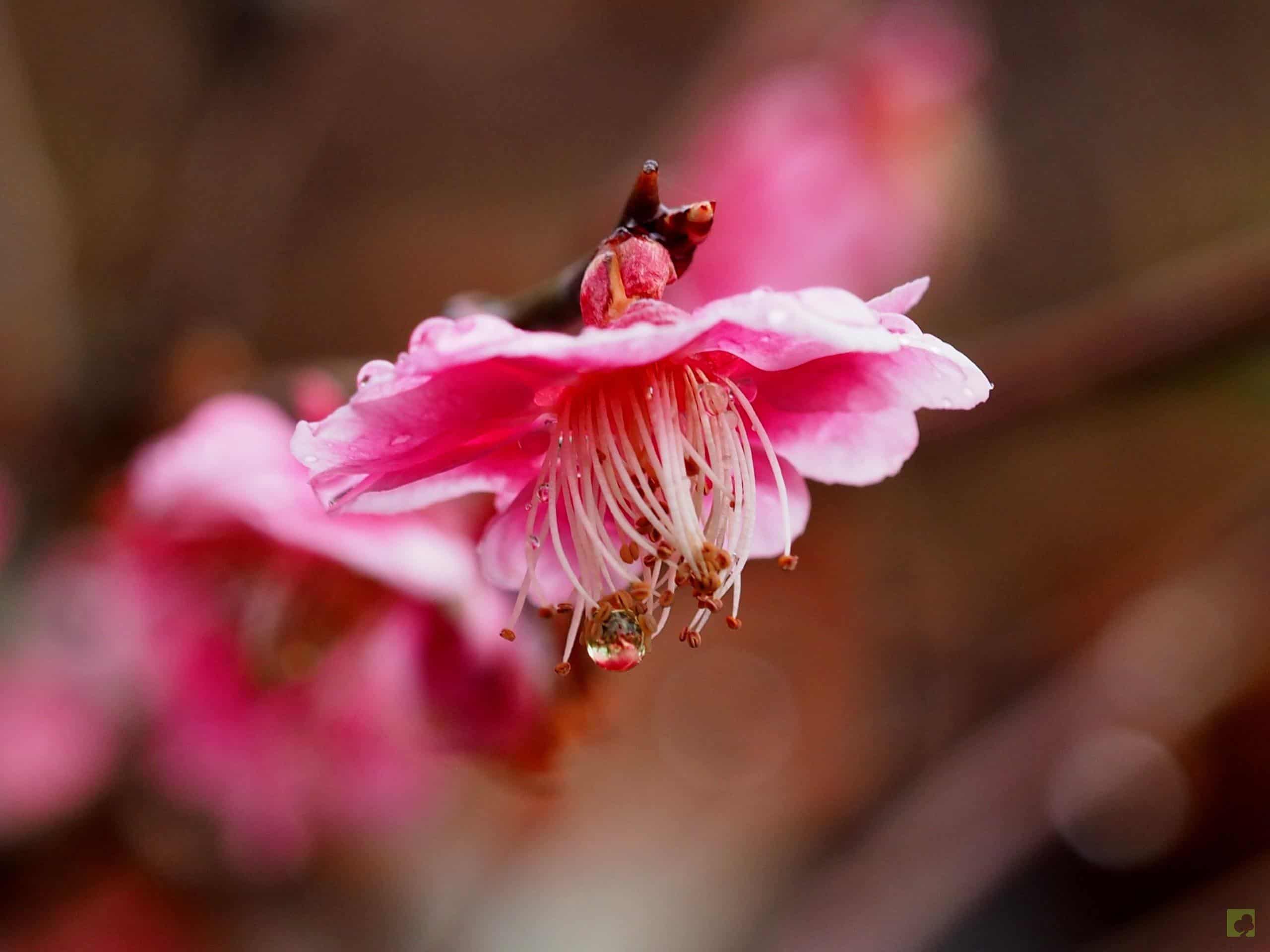 Processed with MOLDIV