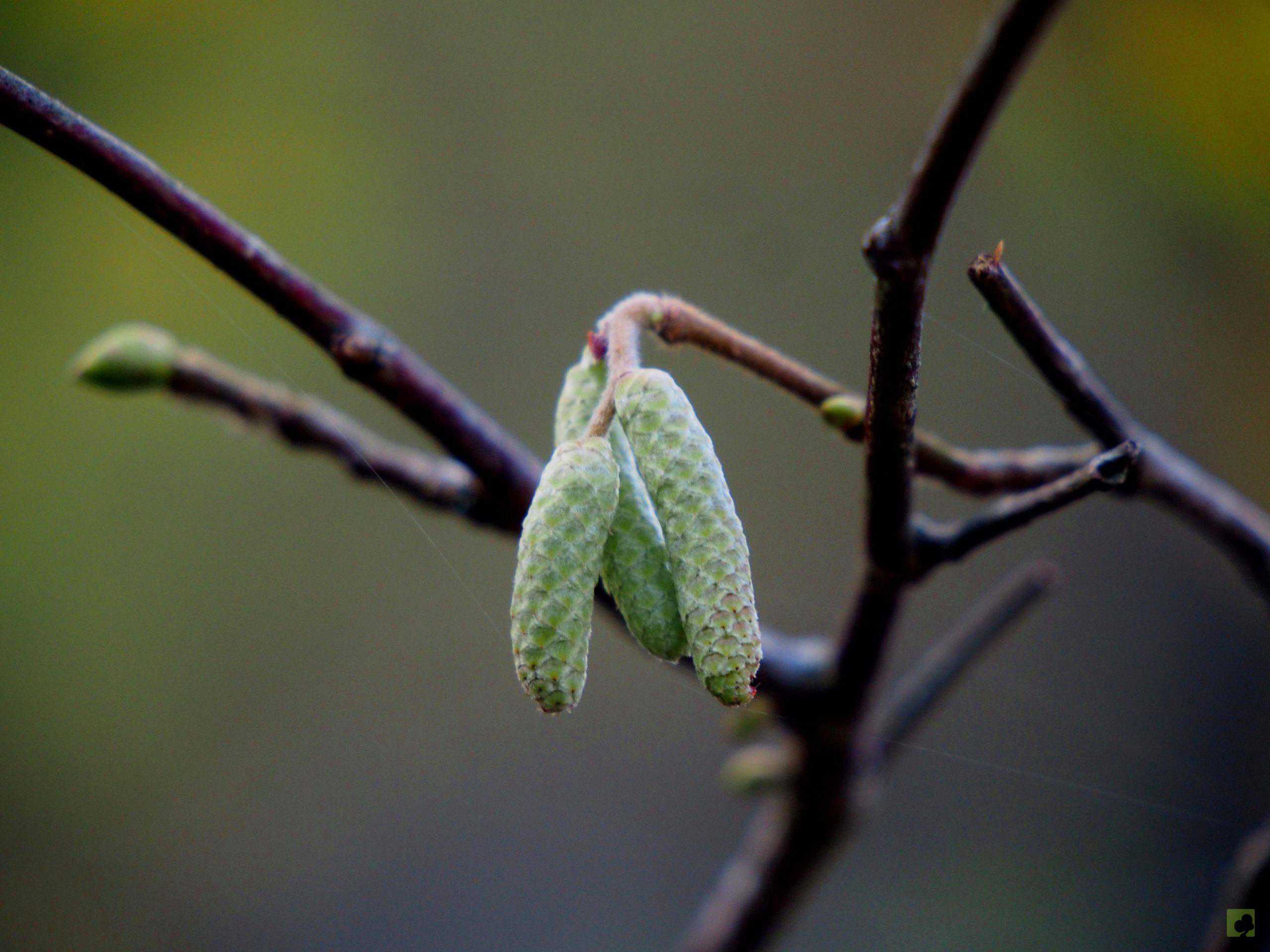 Processed with MOLDIV