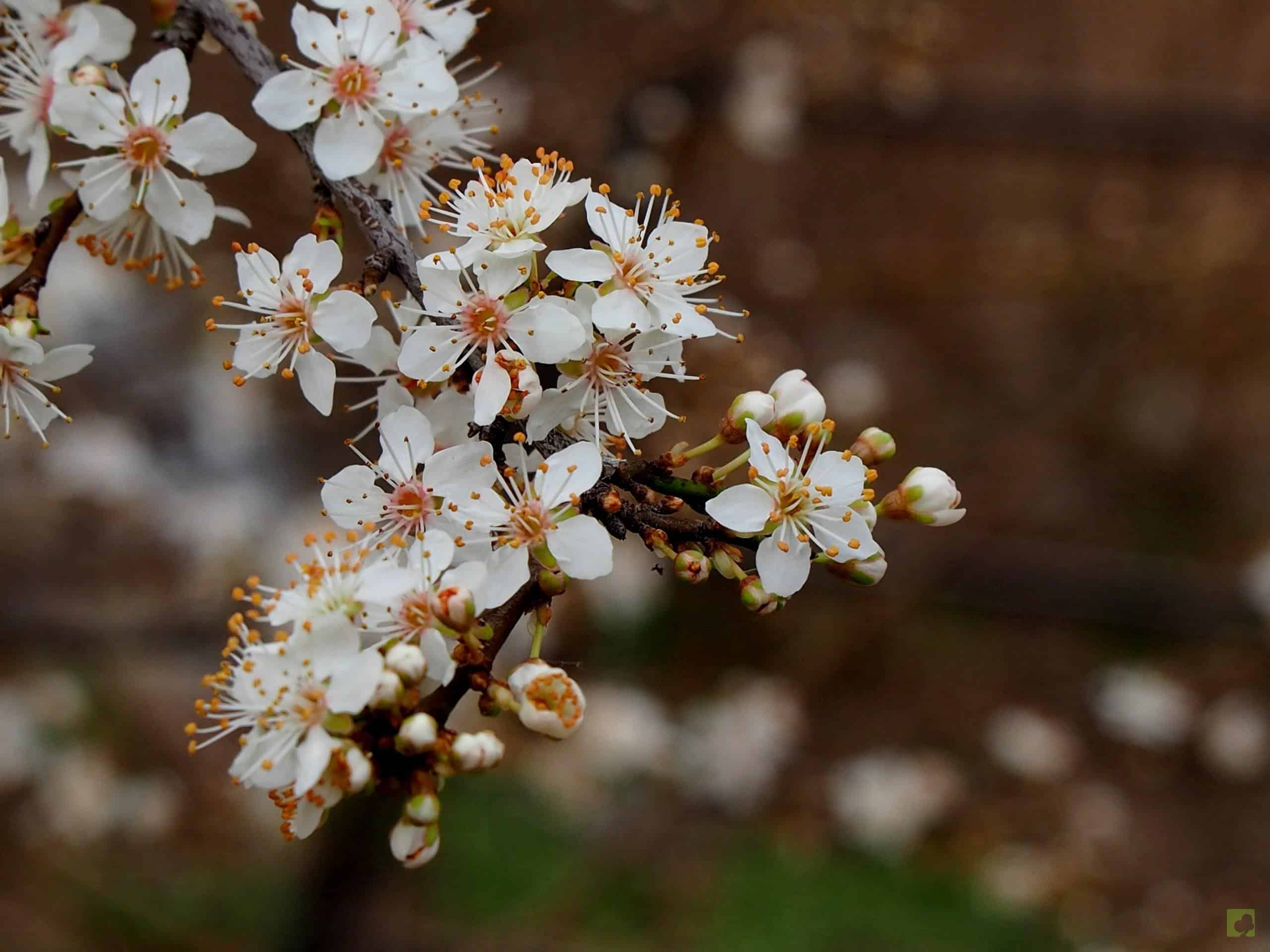 Processed with MOLDIV