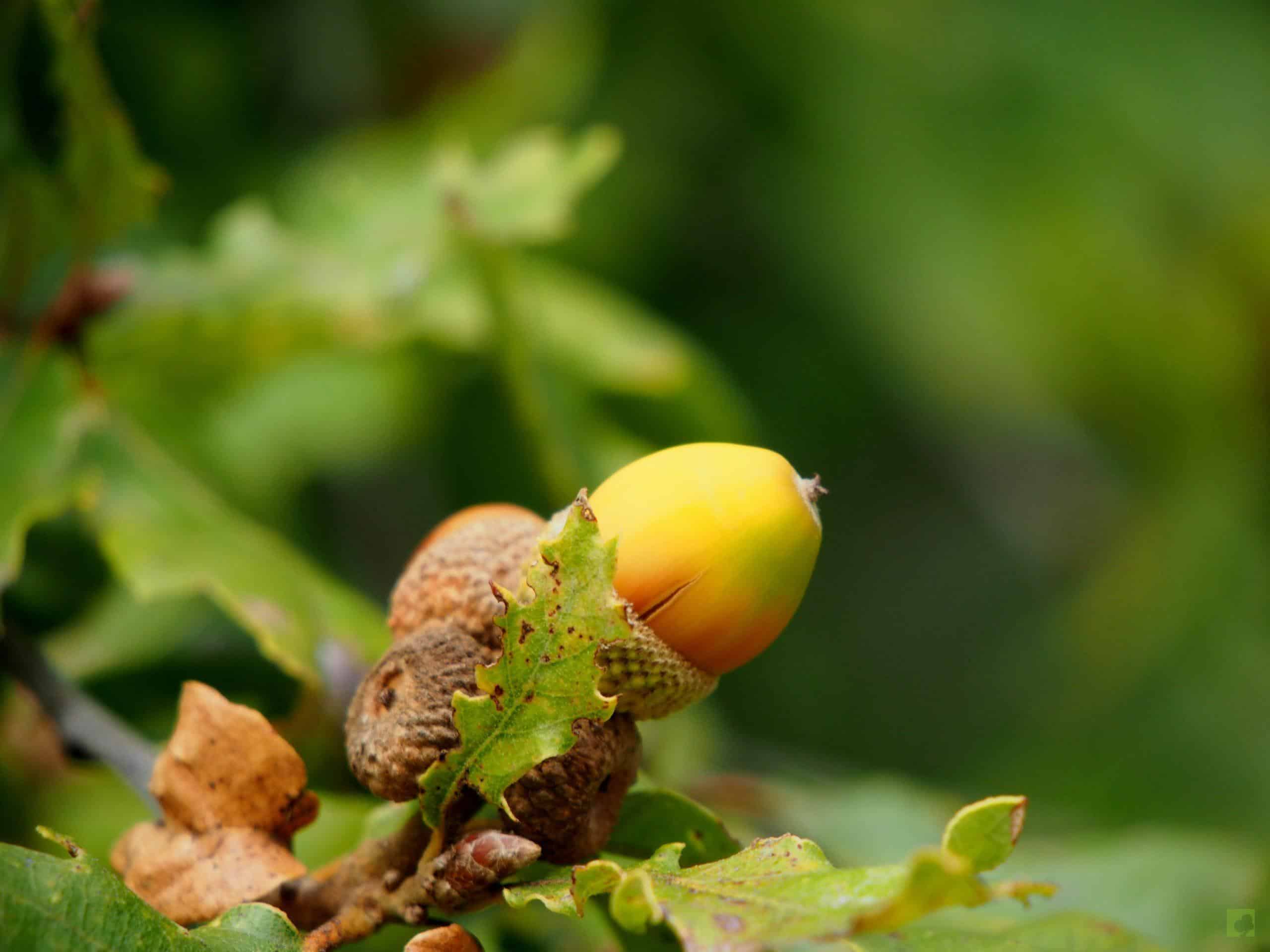 Processed with MOLDIV