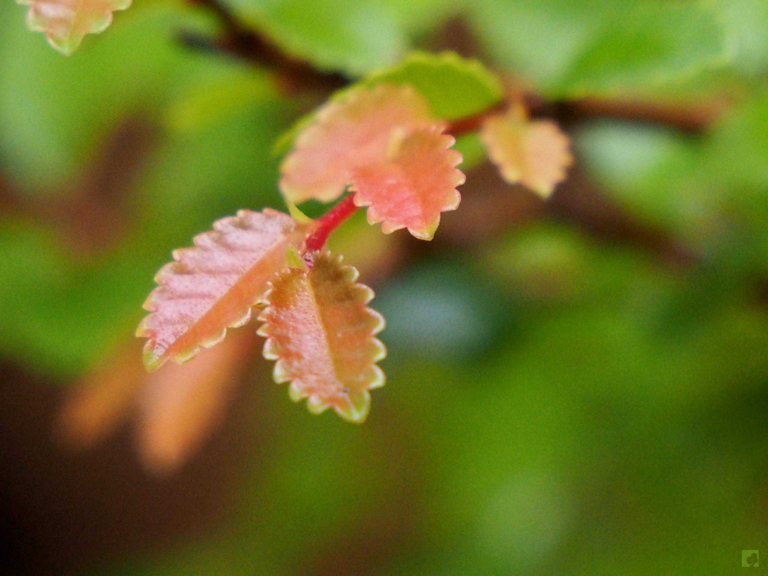 Processed with MOLDIV