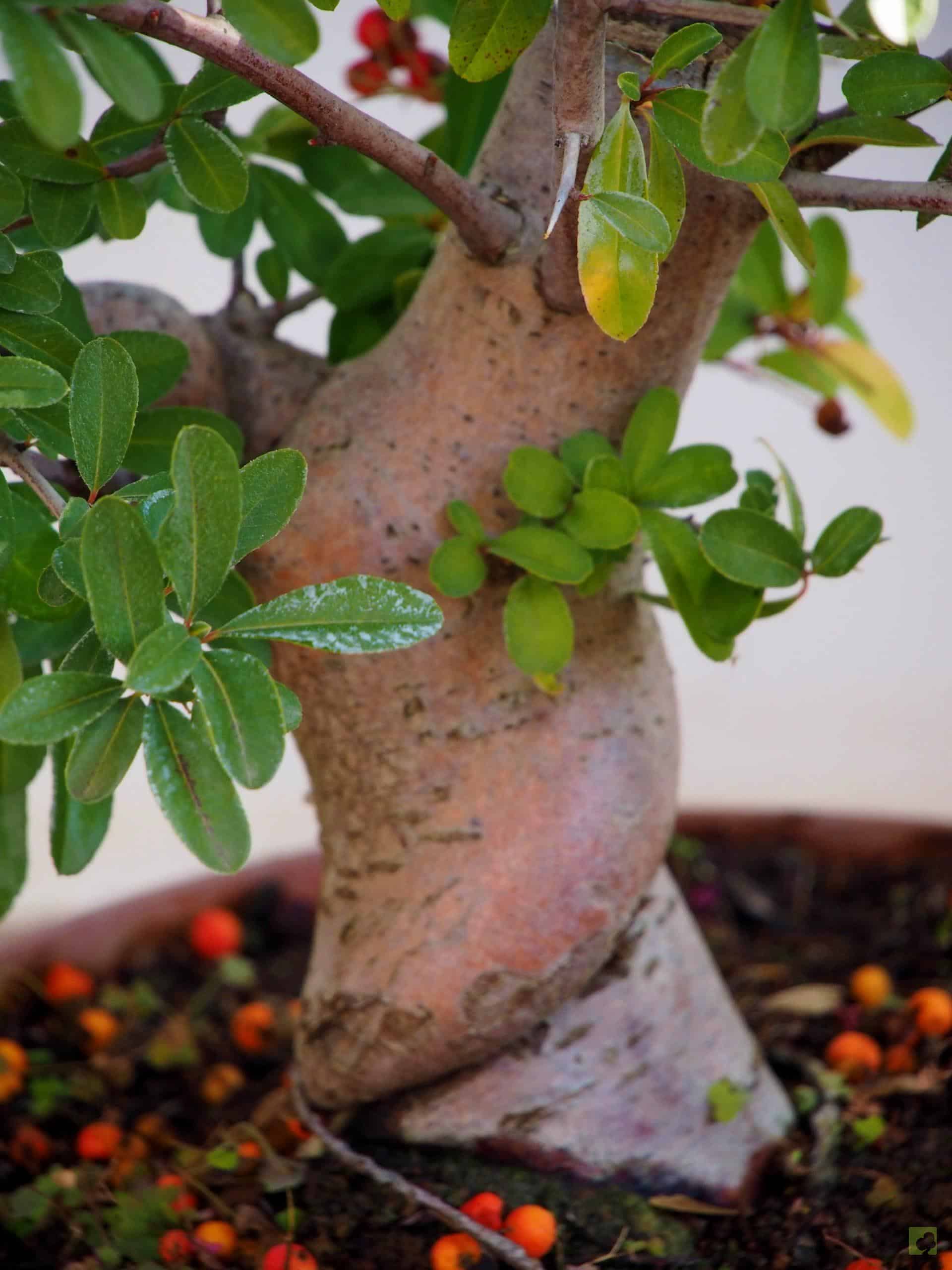 Processed with MOLDIV