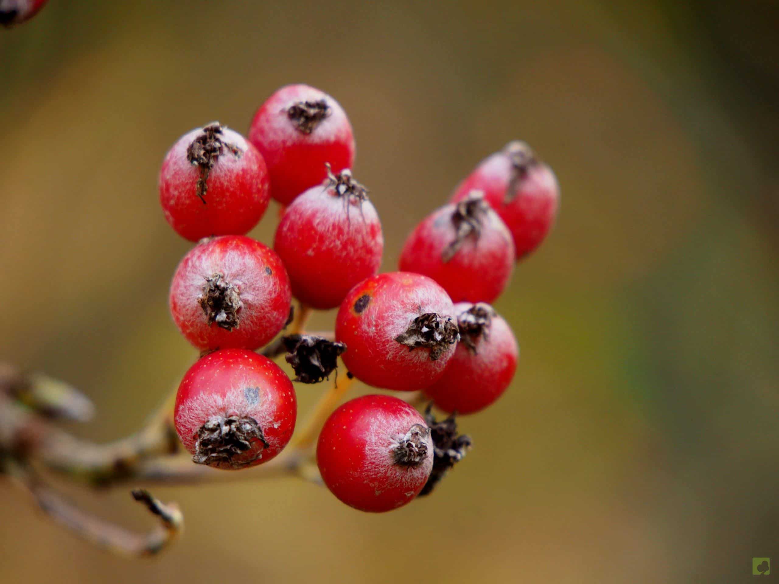 Processed with MOLDIV