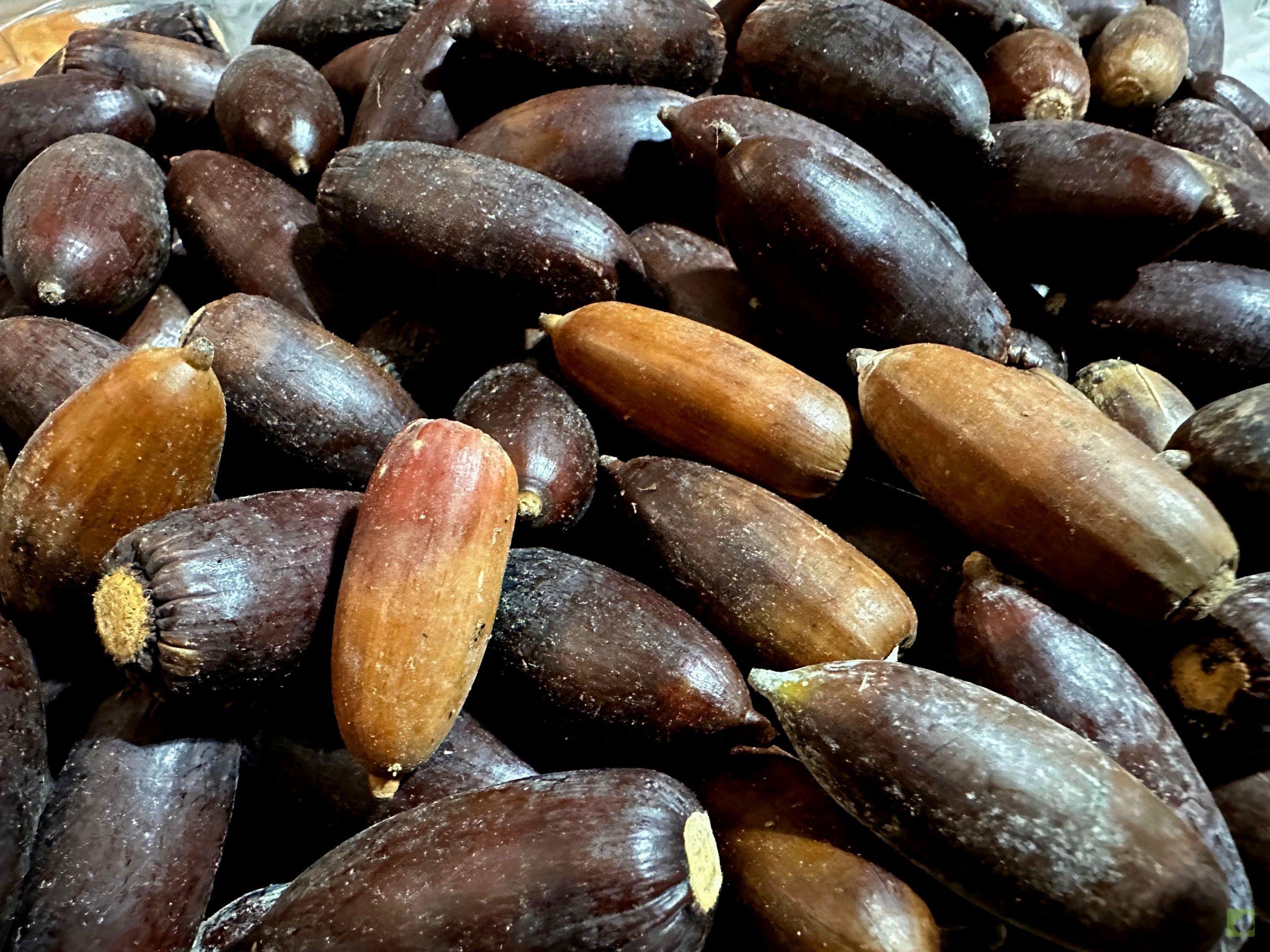 Processed with MOLDIV