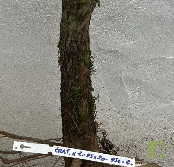 Processed with MOLDIV