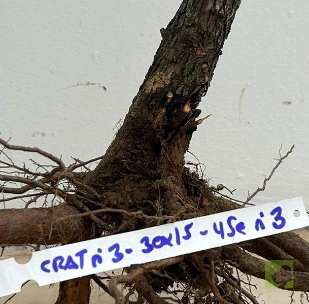 Processed with MOLDIV