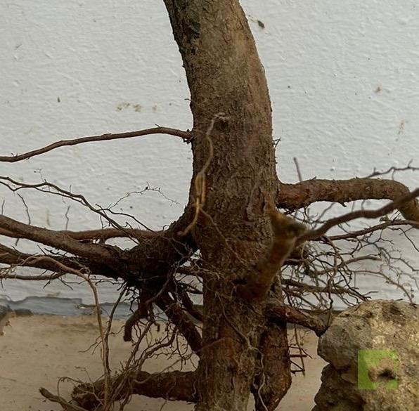 Processed with MOLDIV