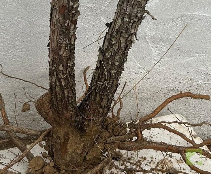 Processed with MOLDIV