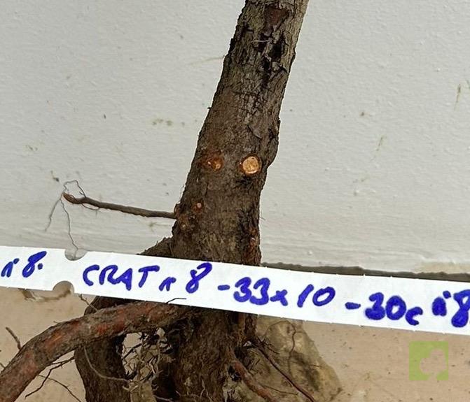 Processed with MOLDIV