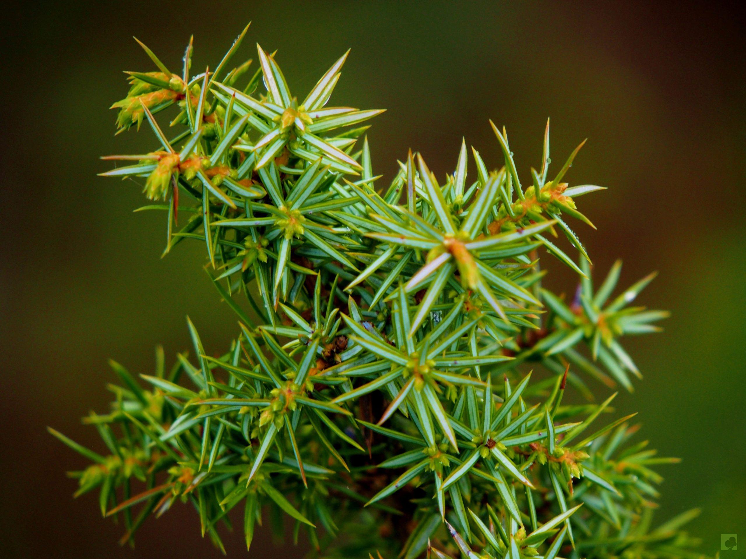 Processed with MOLDIV