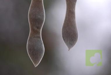 Processed with MOLDIV