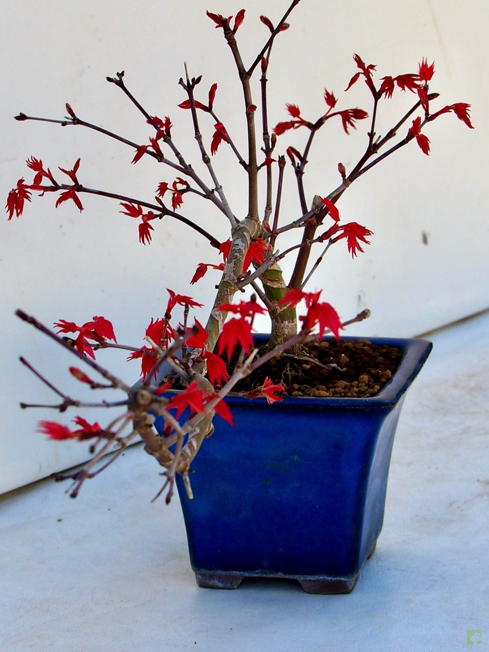 Processed with MOLDIV