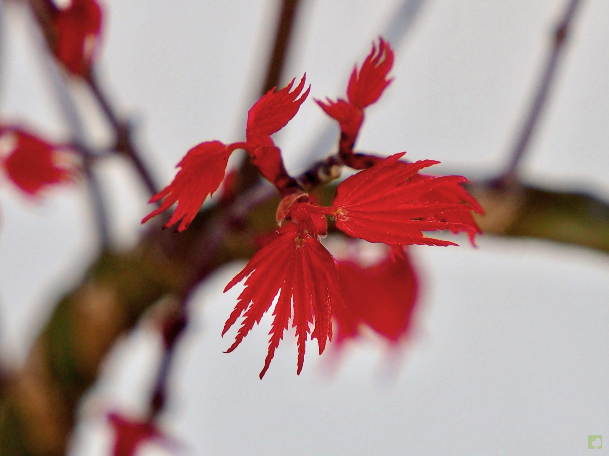 Processed with MOLDIV