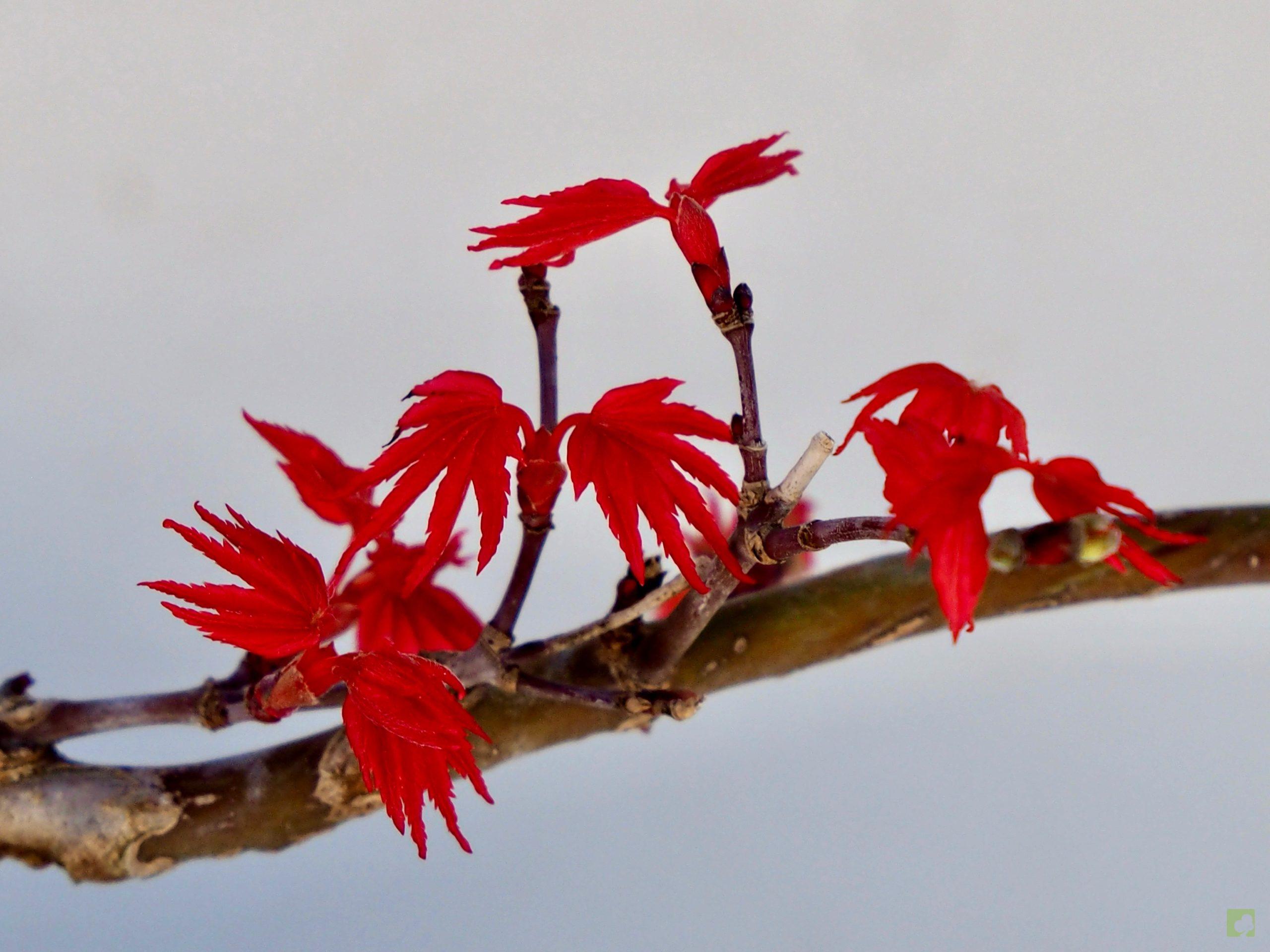 Processed with MOLDIV