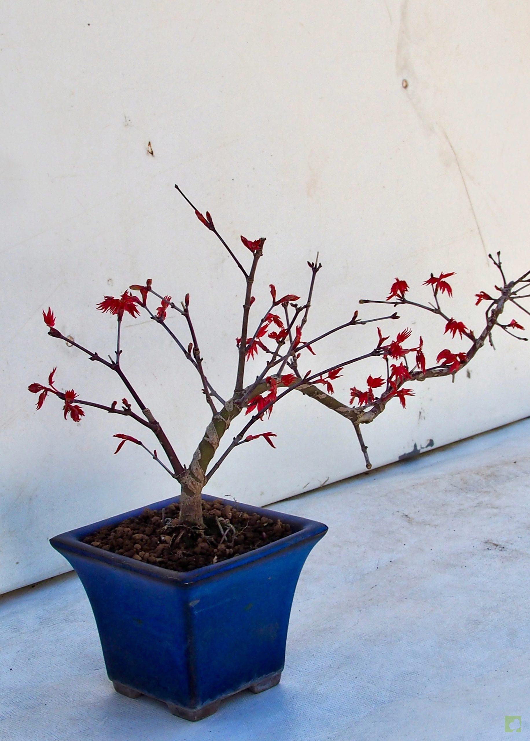 Processed with MOLDIV