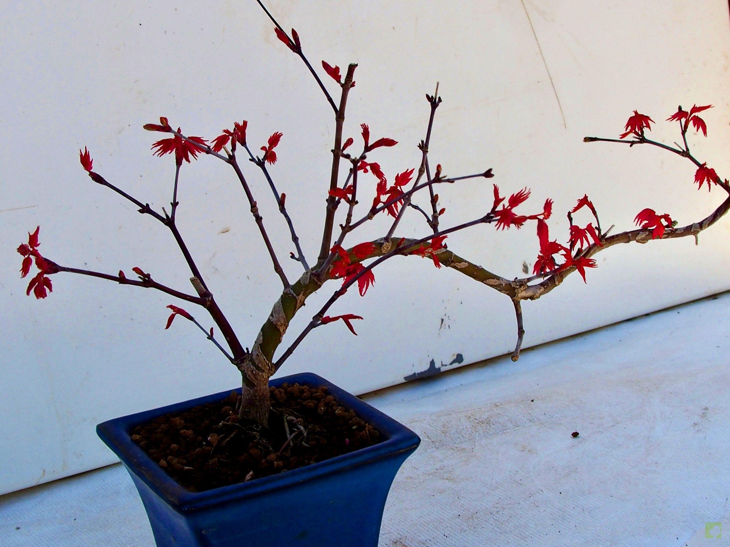 Processed with MOLDIV