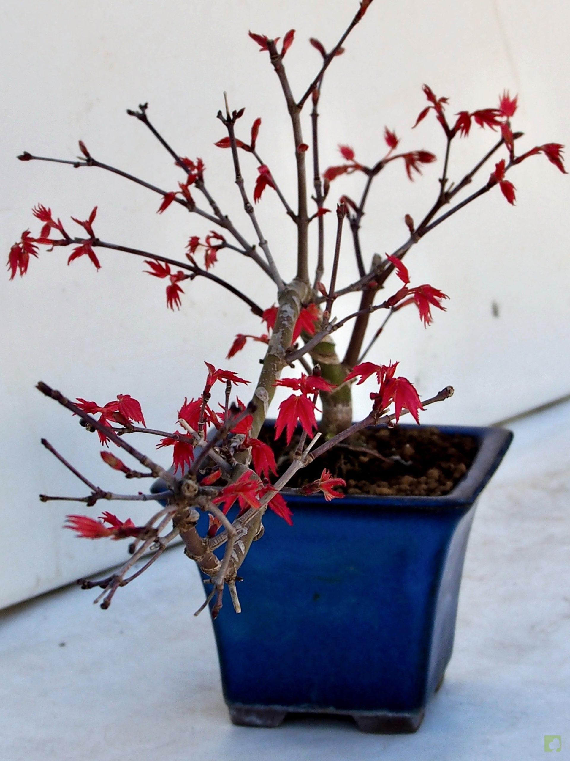 Processed with MOLDIV